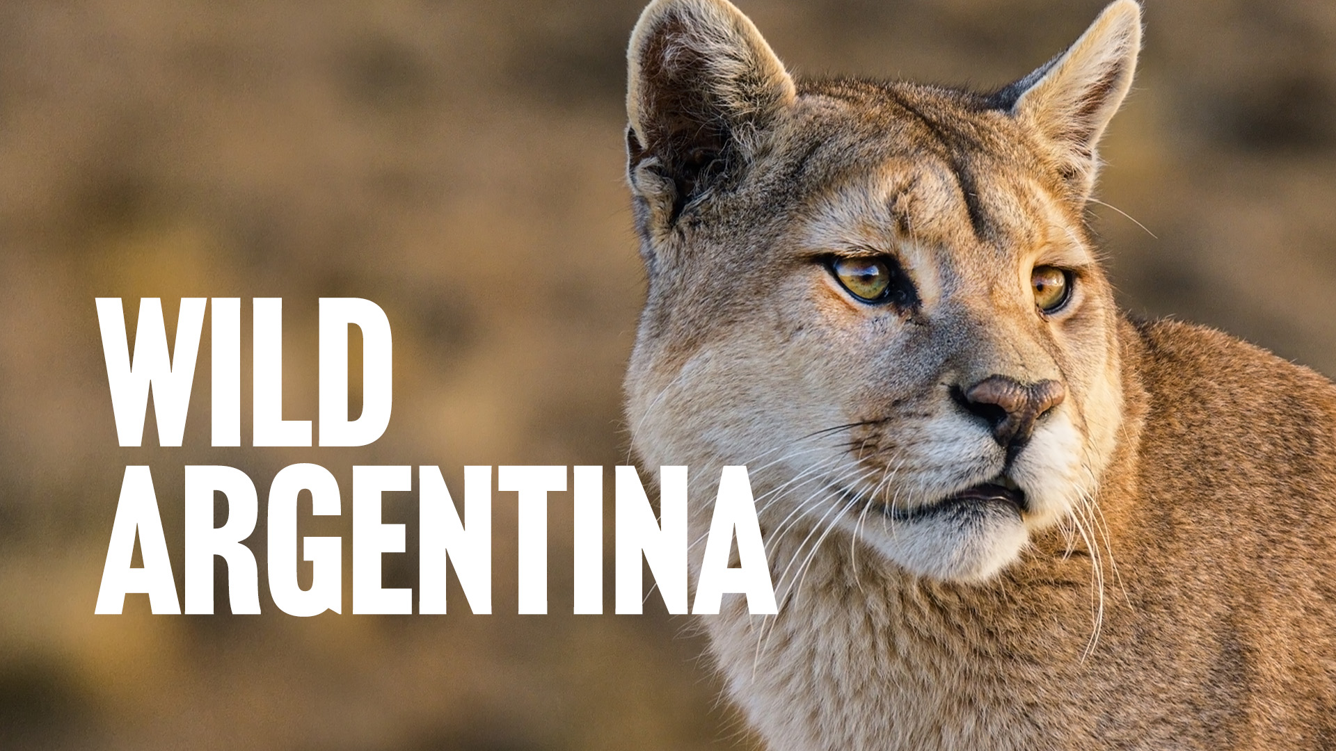 Wild Argentina: Land Of Extremes