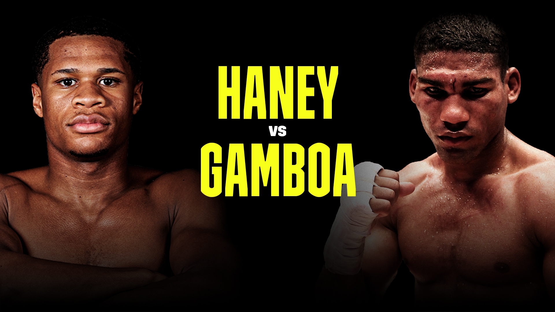 Haney vs. Gamboa (2020)