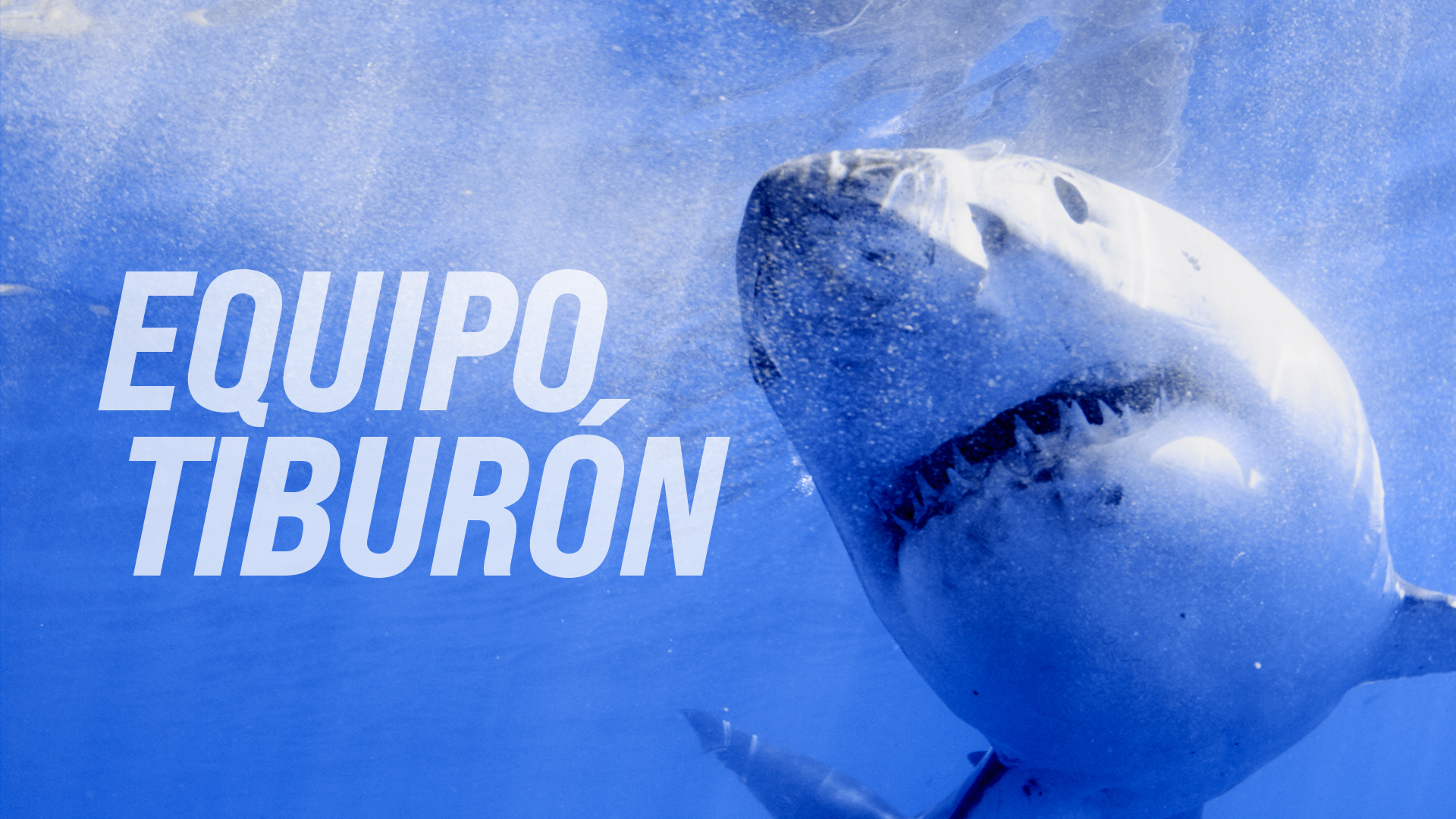 Equipo Tiburón