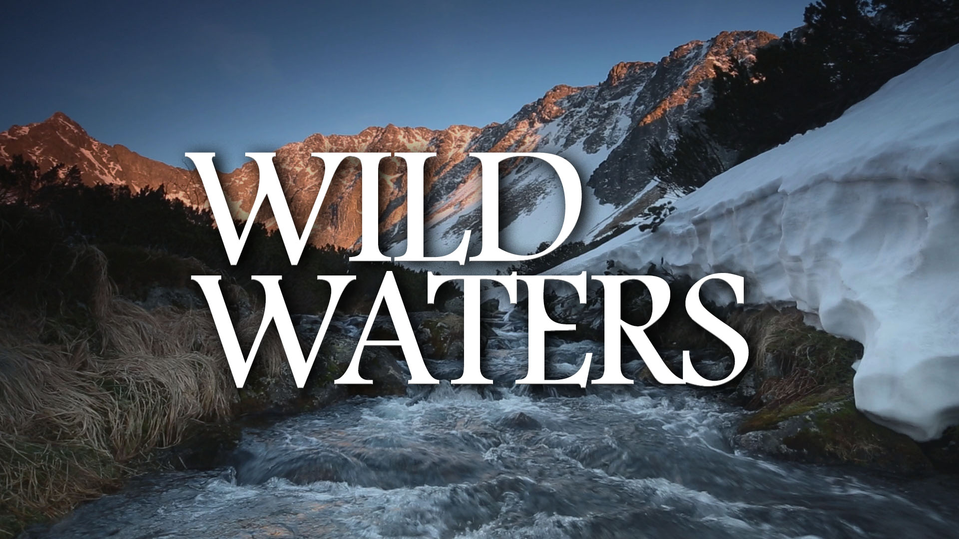 Wild Waters