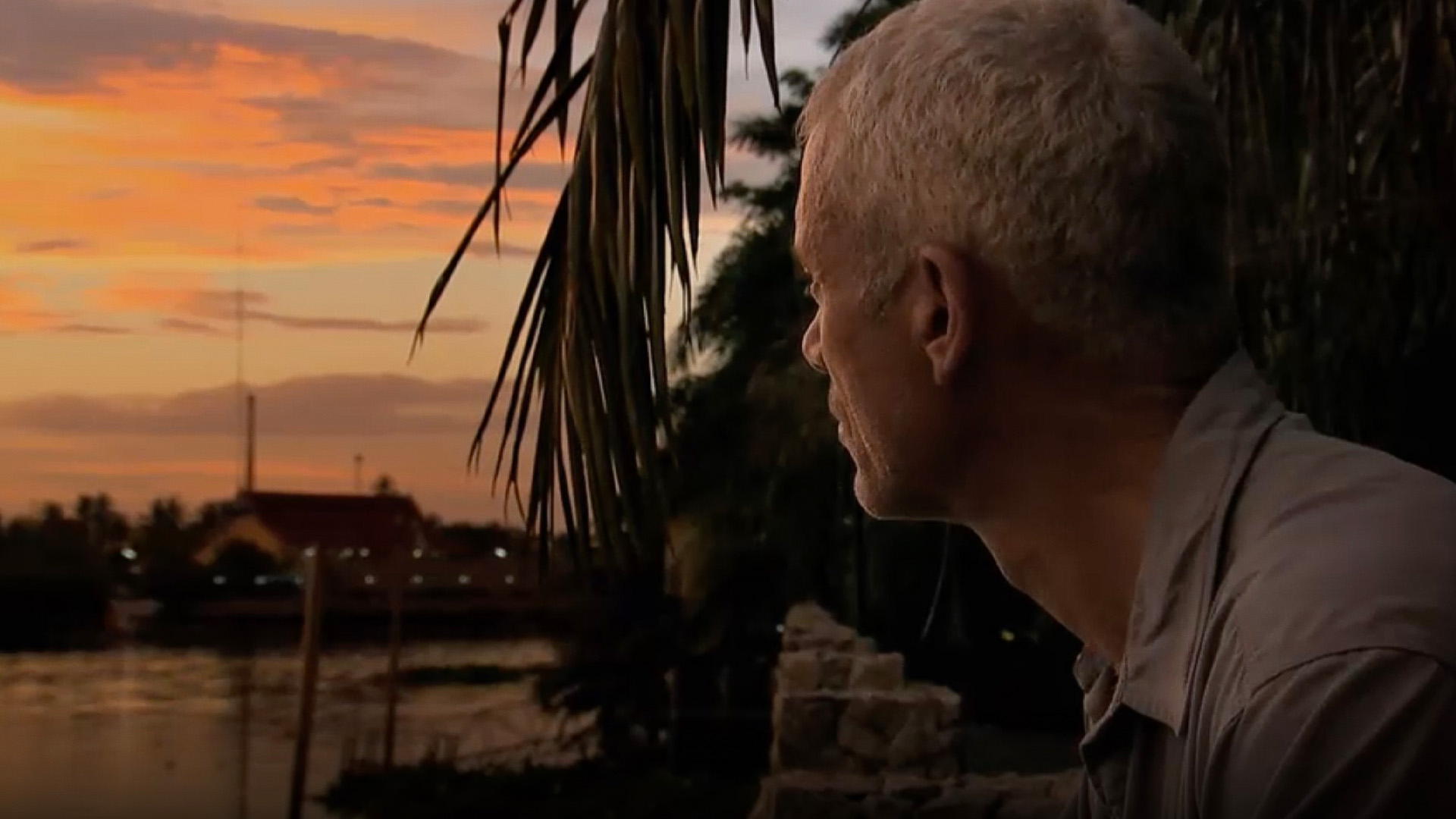 Der Süßwasser-Stechrochen