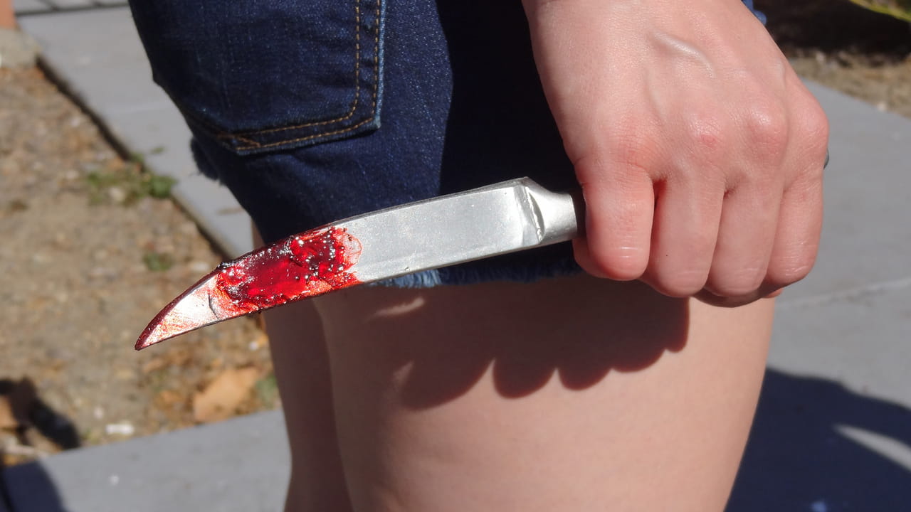 Wives With Knives (español)