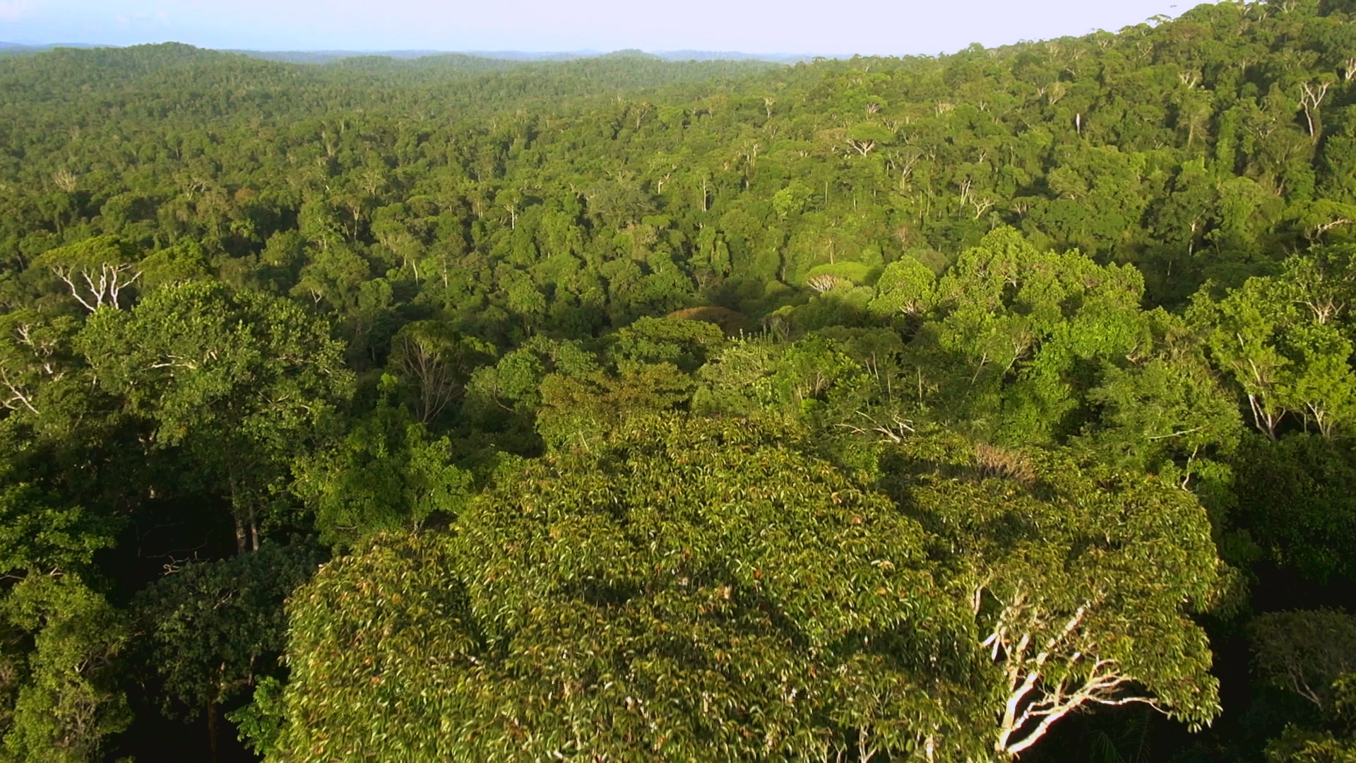 D'outremers en Guyane