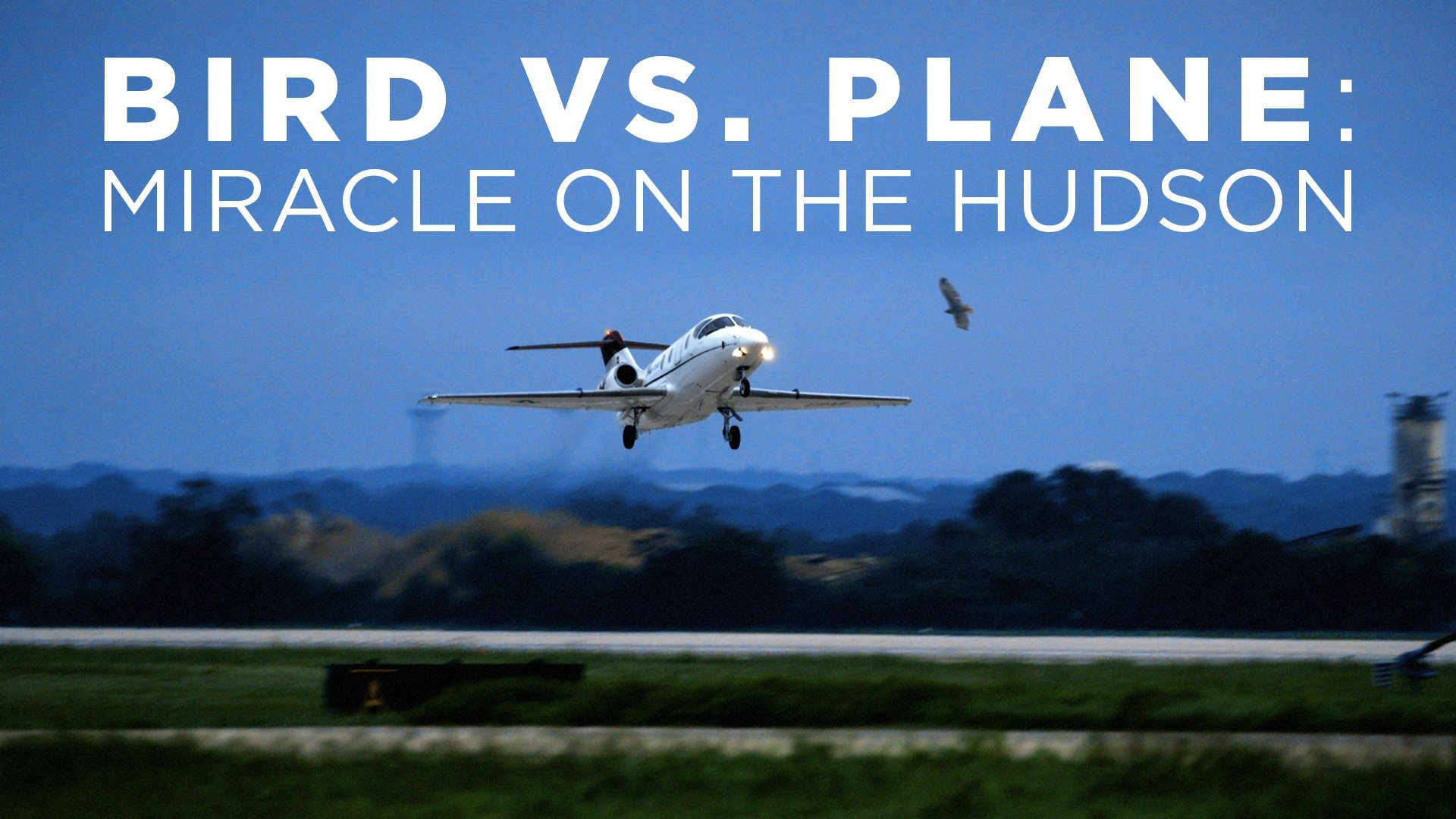 Bird vs. Plane: Miracle on the Hudson