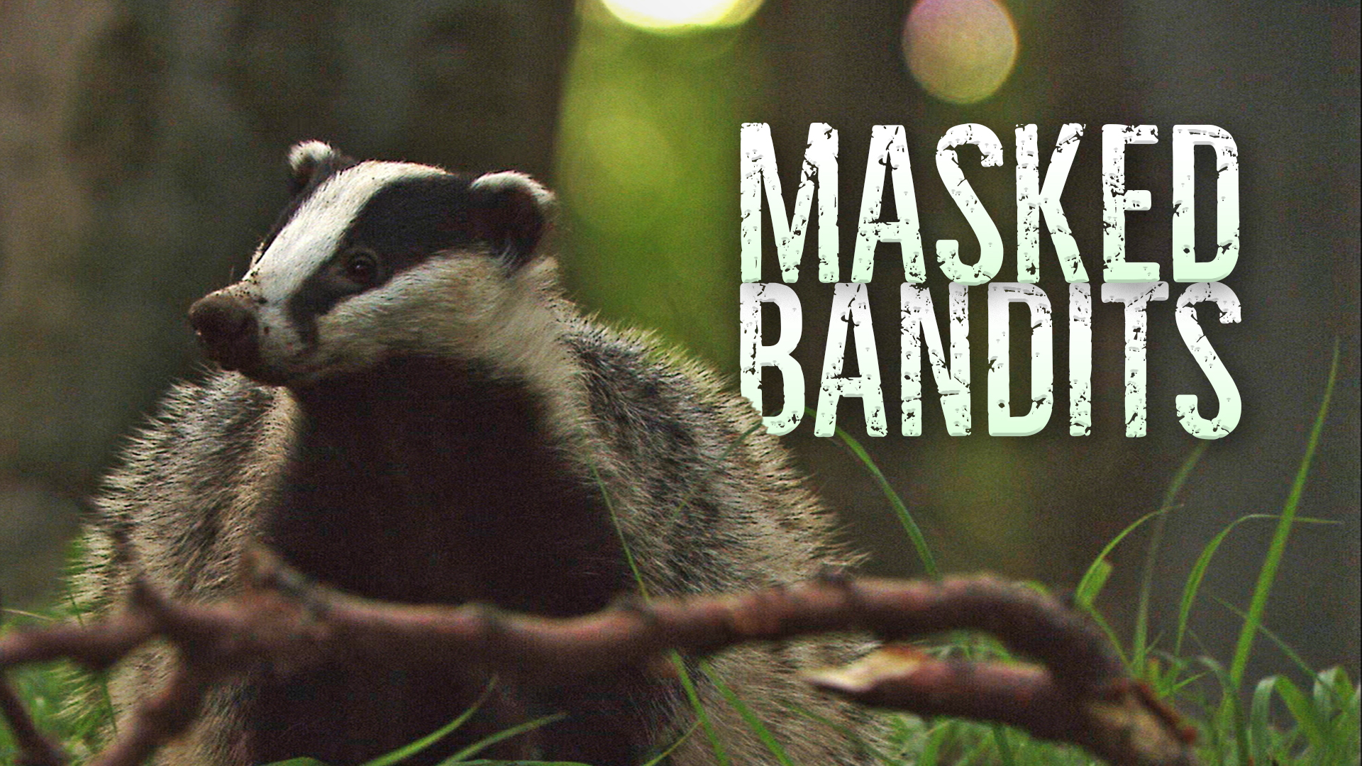 Masked Bandits