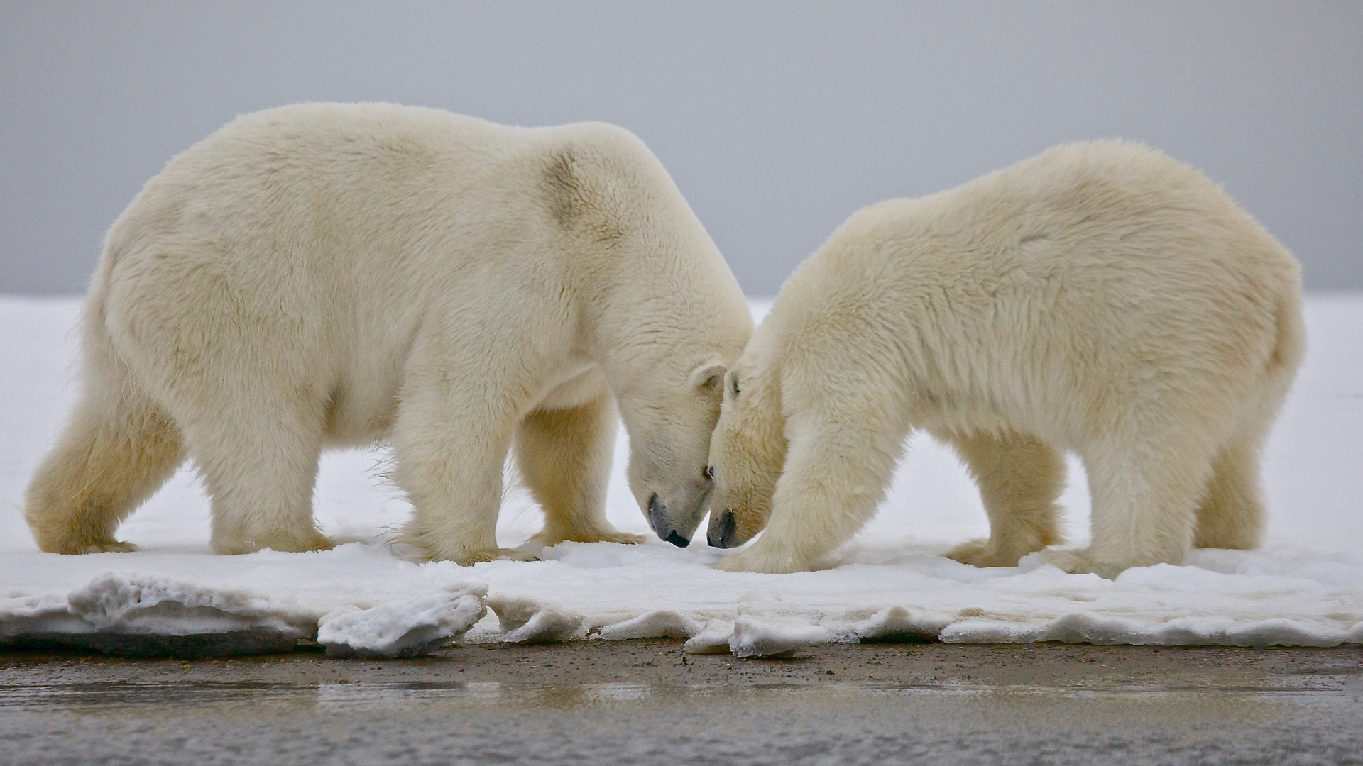 North America's National Parks