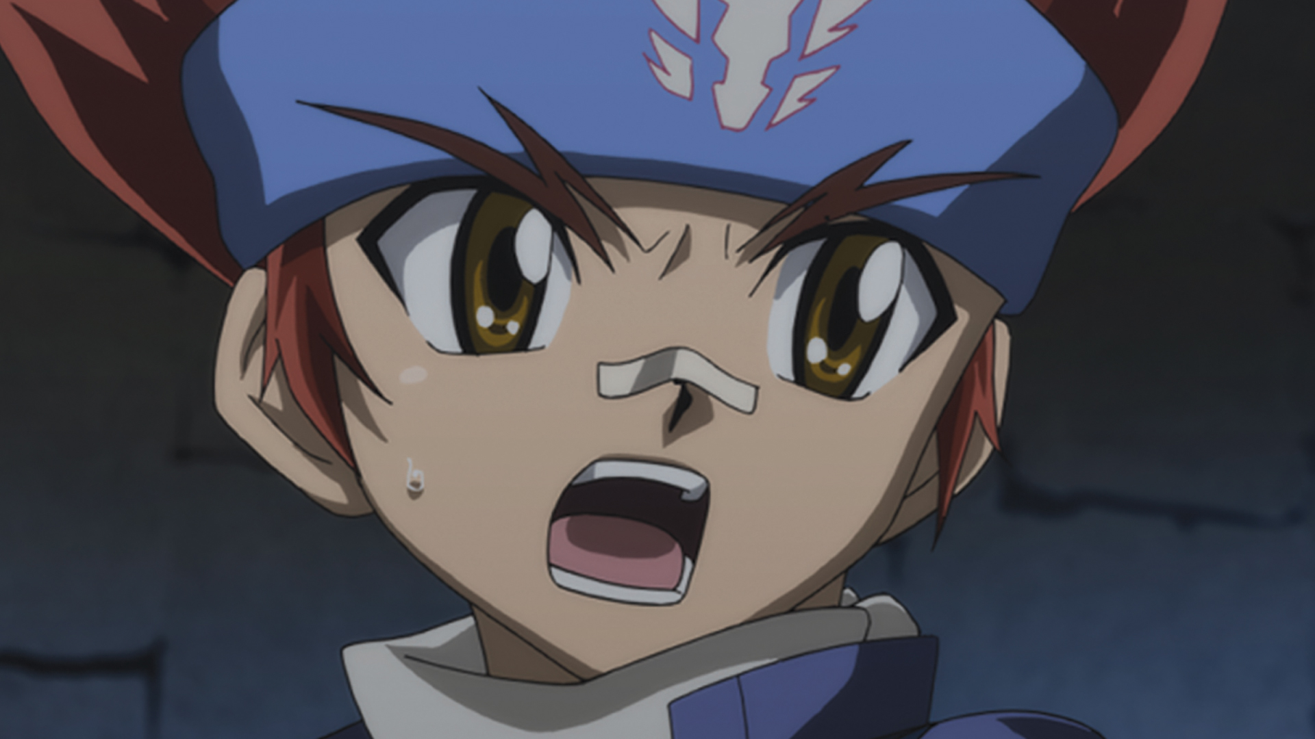 Der Stolz des Löwen