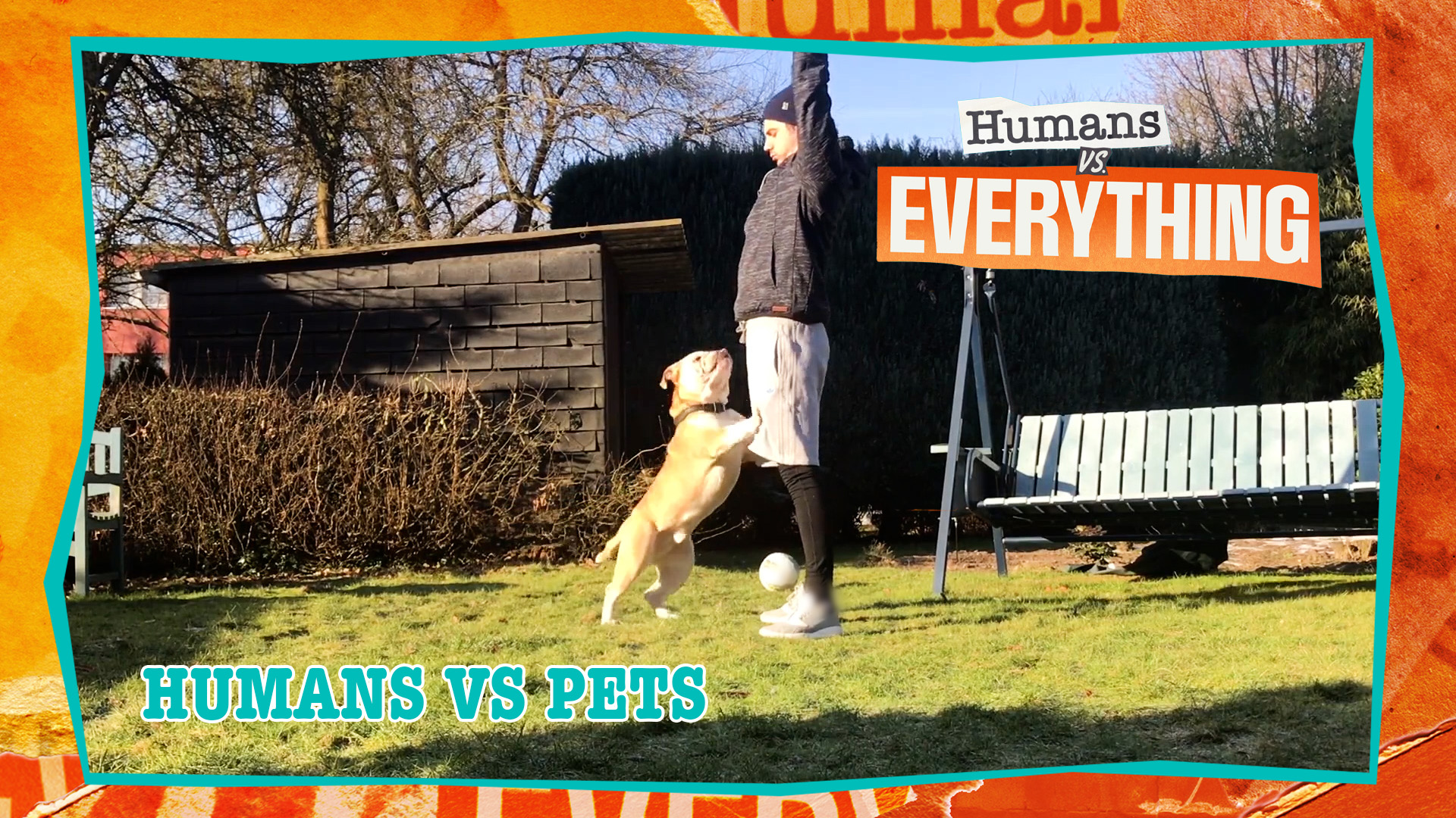 Humans VS. Everything