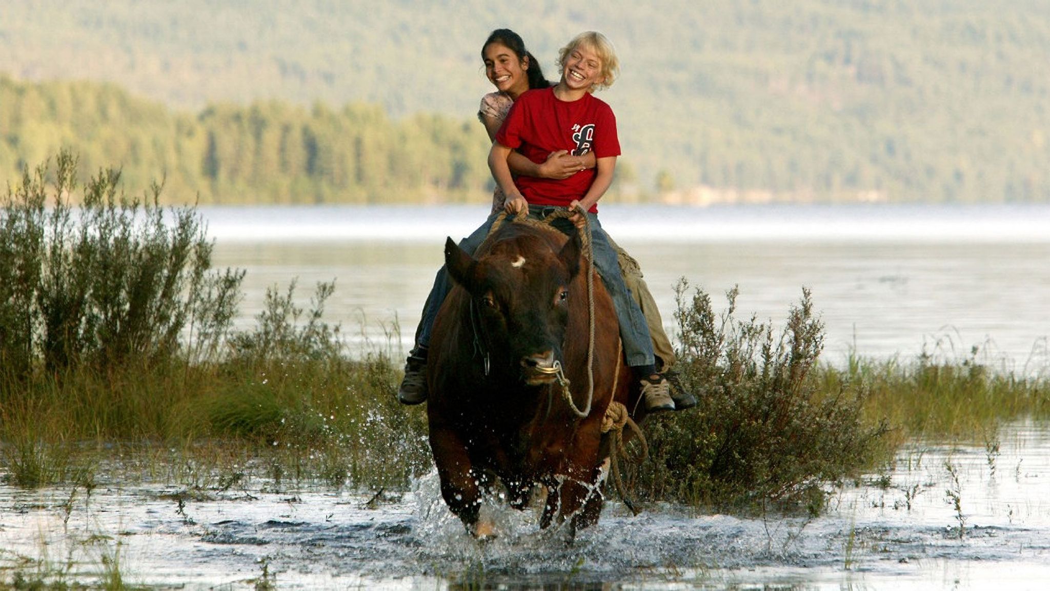 Petter und Leo – Finding Friends