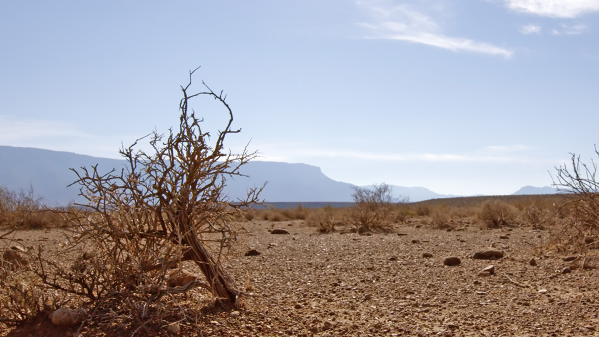 Der Karoo-Nationalpark
