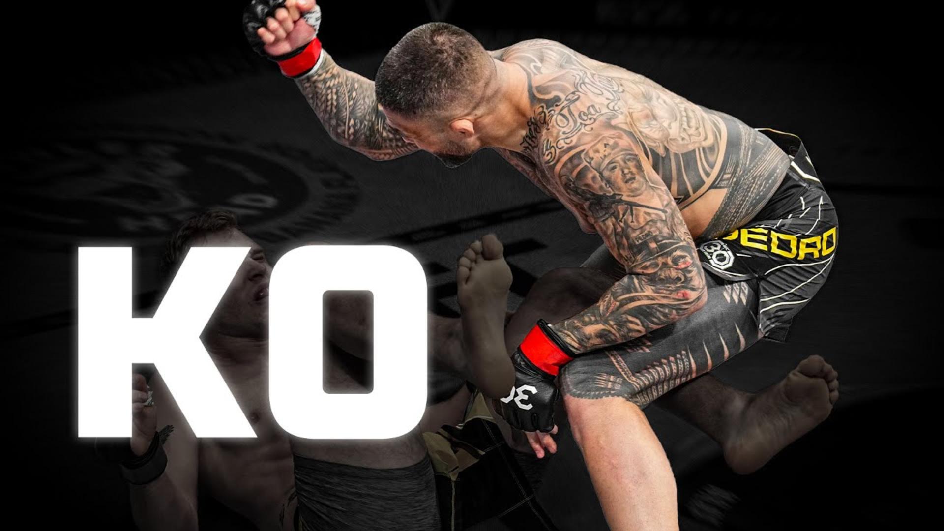 UFC Knockouts You Forgot About!