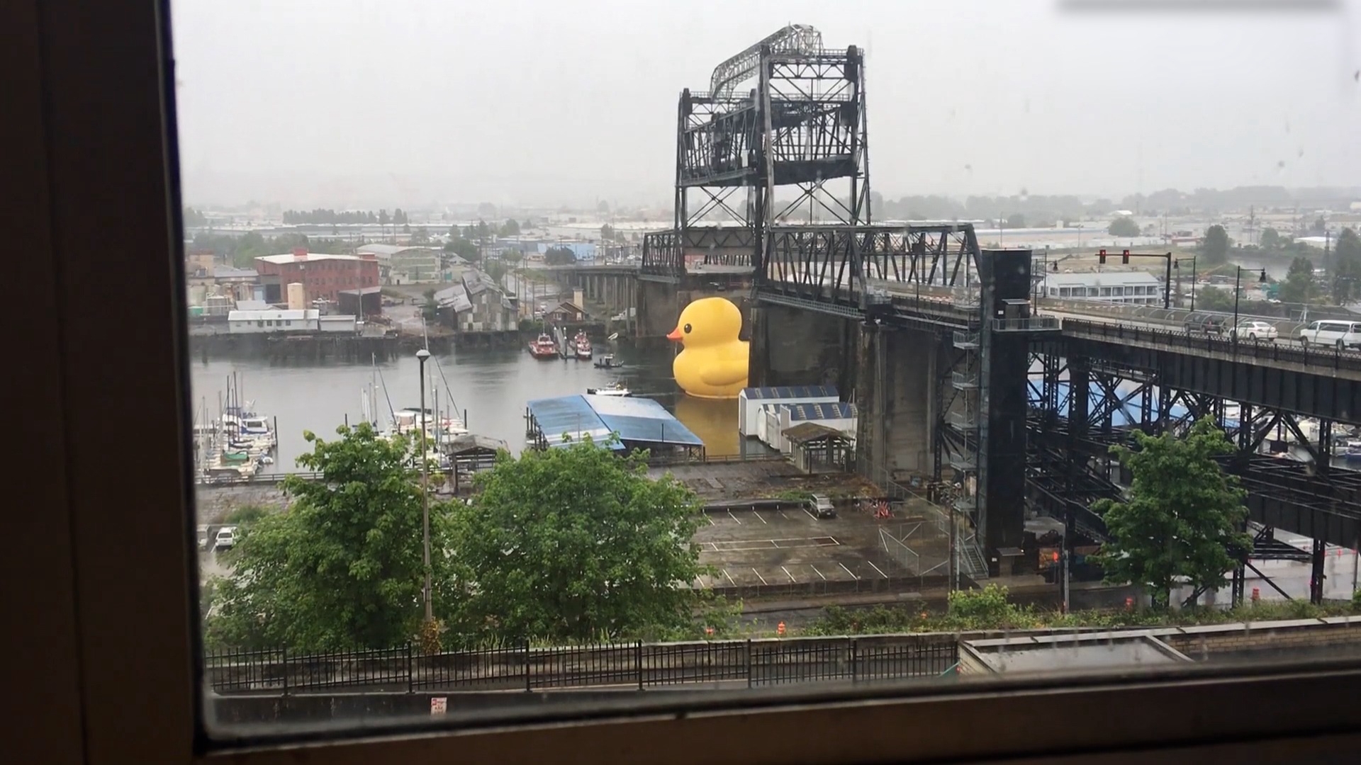 FailArmy Party Animals