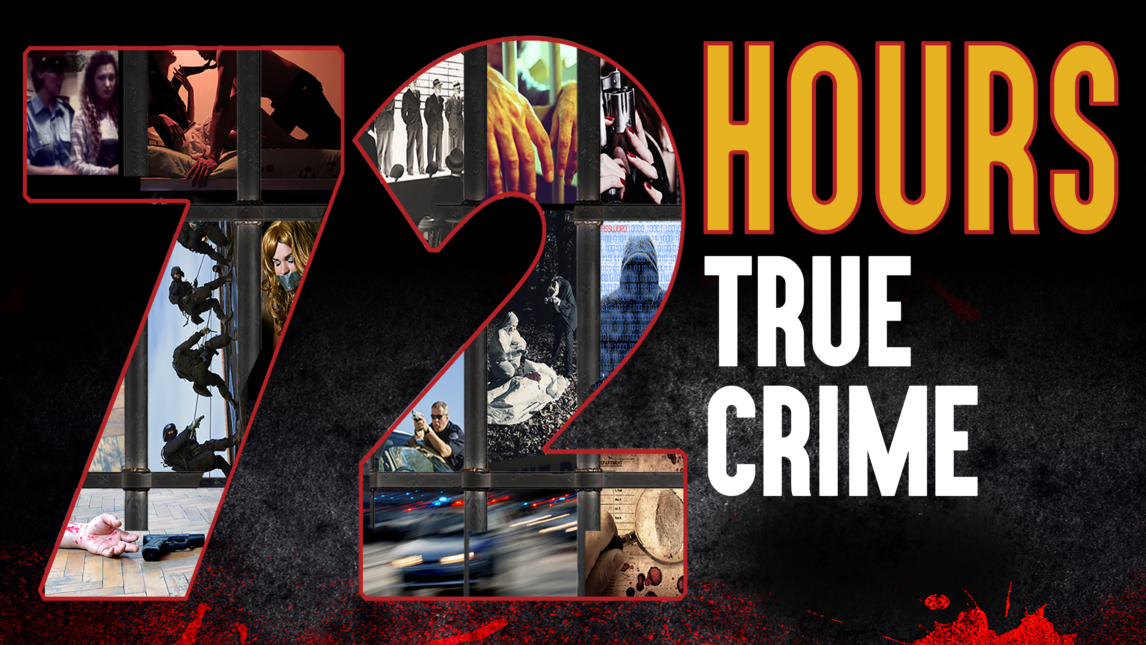 72 Hours: True Crime