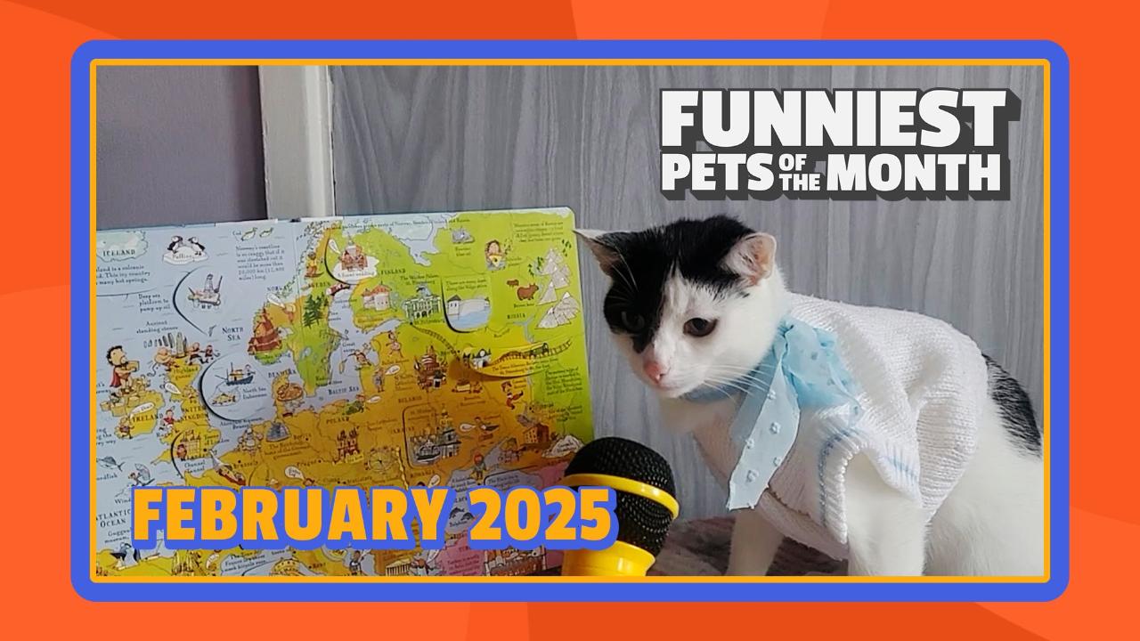 Funniest Pets of the Month | Ep. 2.3