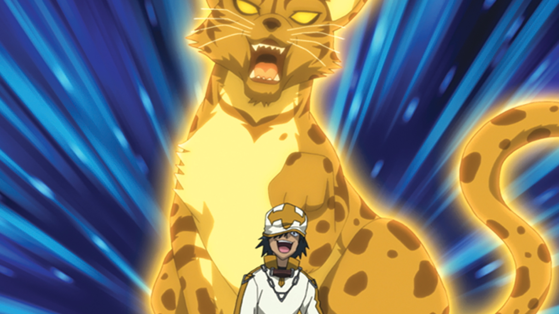 Le chat Sauvage: Lynx