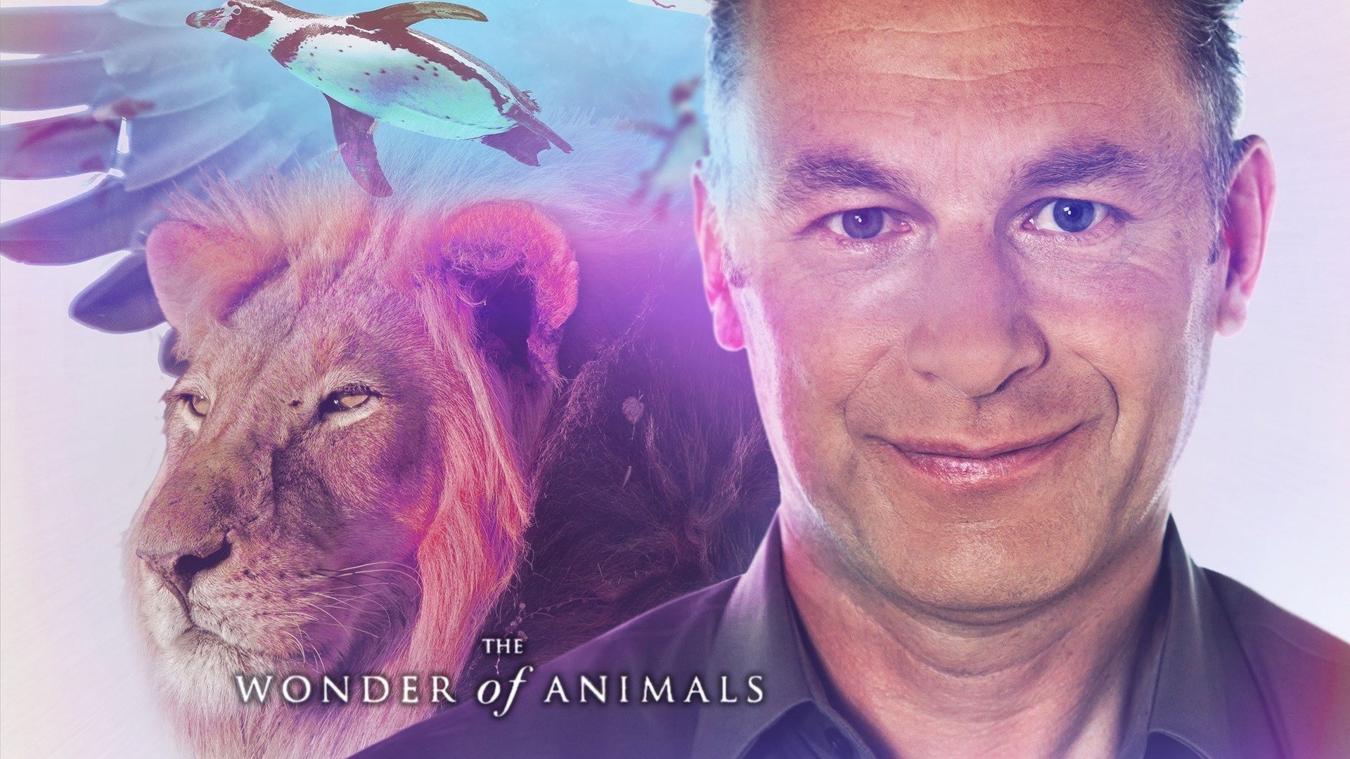 The Wonder of Animals