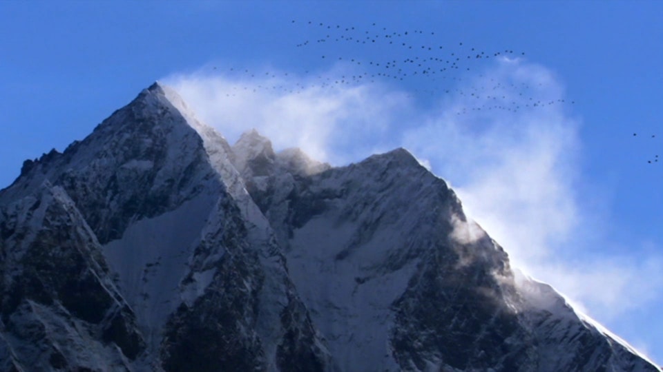 Wildest India: The Himalayas: Surviving the Summits