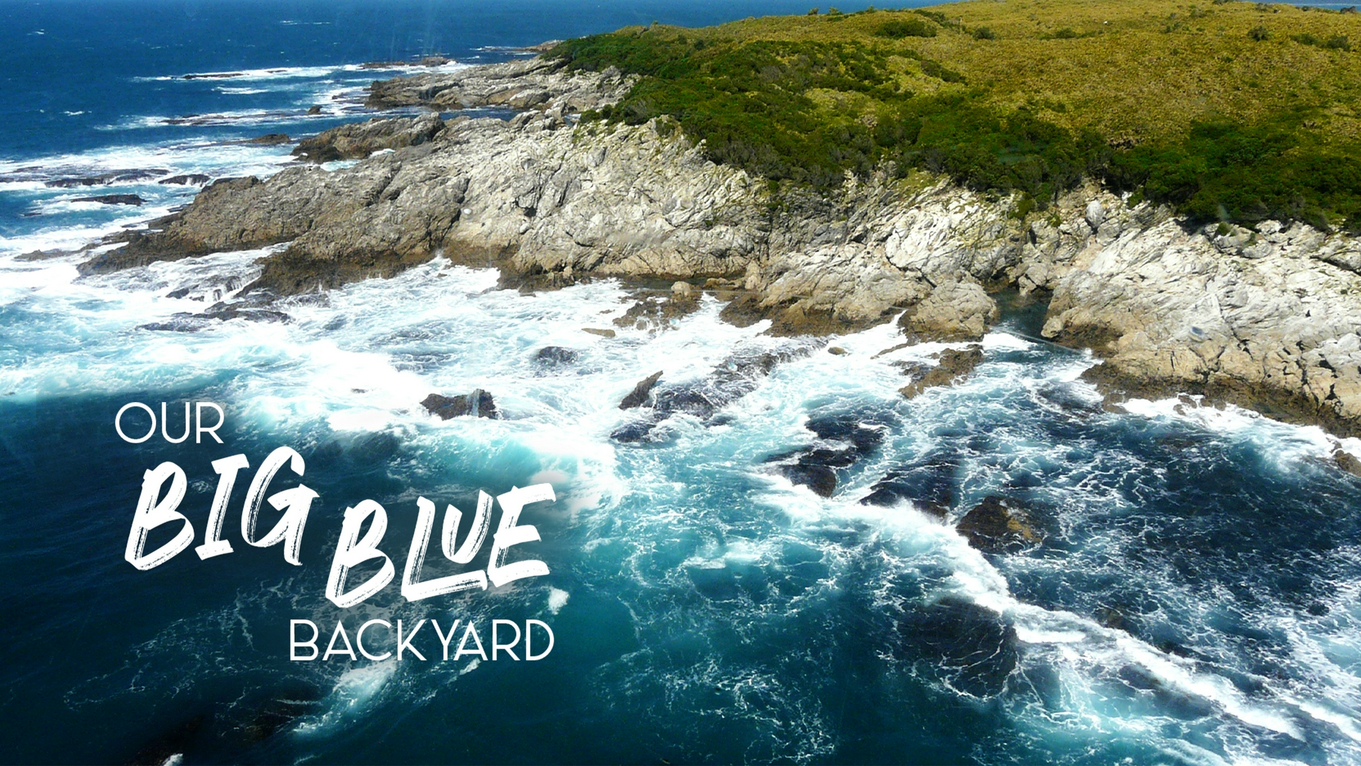 Our Big Blue Backyard