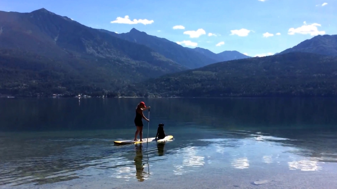 TPC Most Valuable Pets