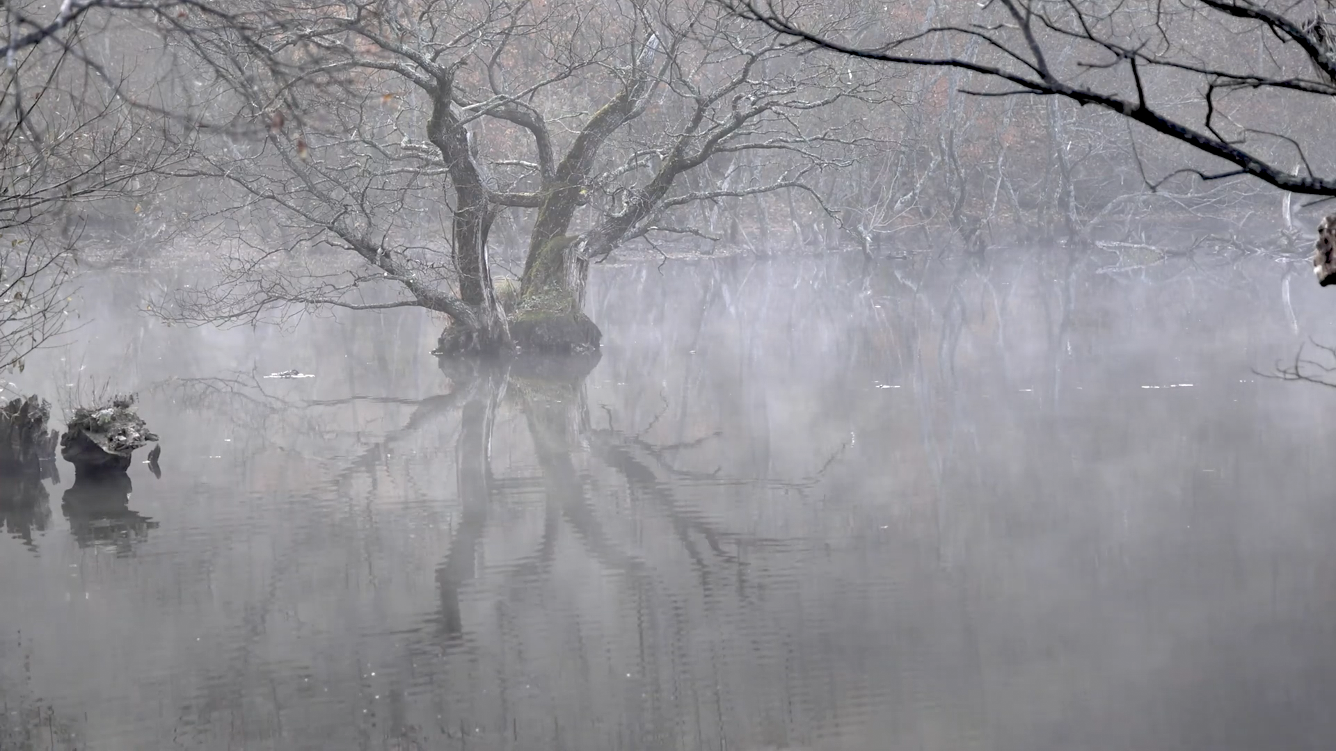 [신비롭고 아름다운 비경] 청송 주산지 EP.5