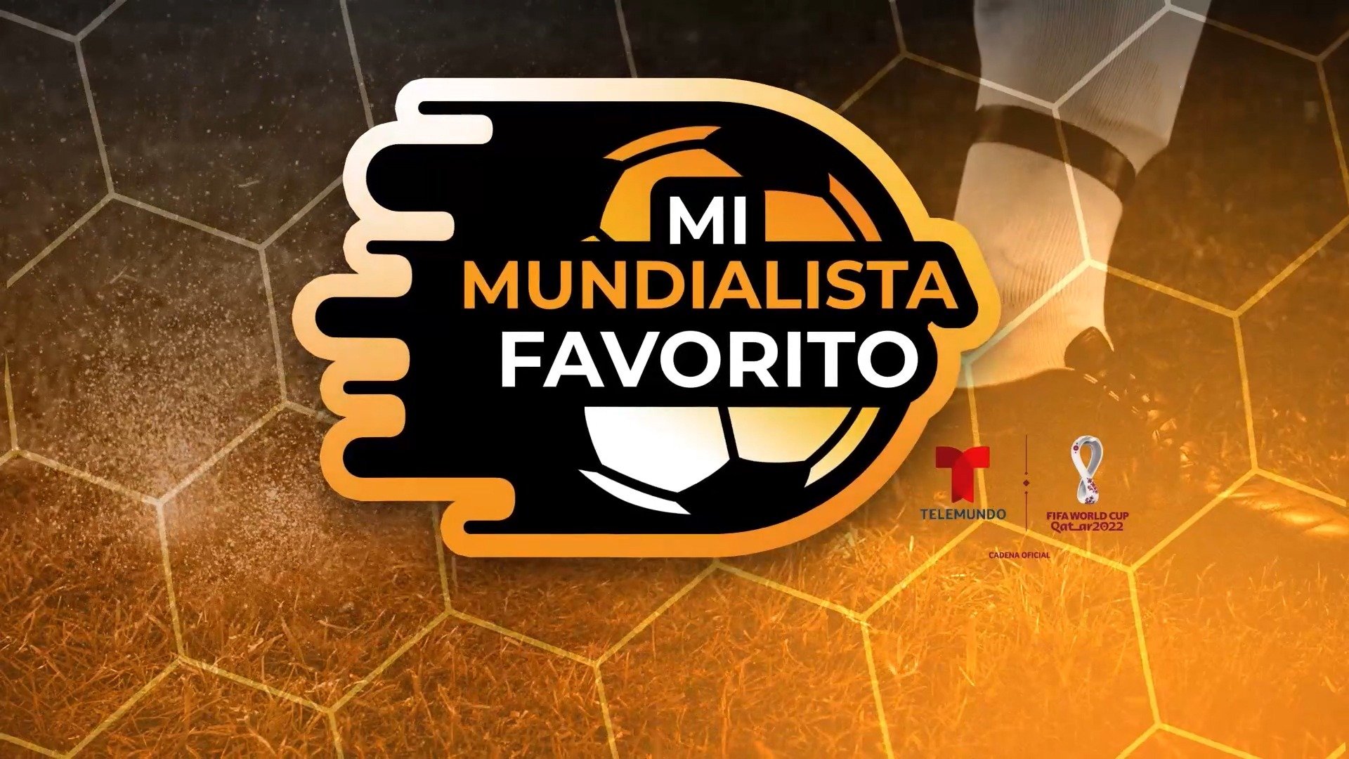 Mi mundialista favorito