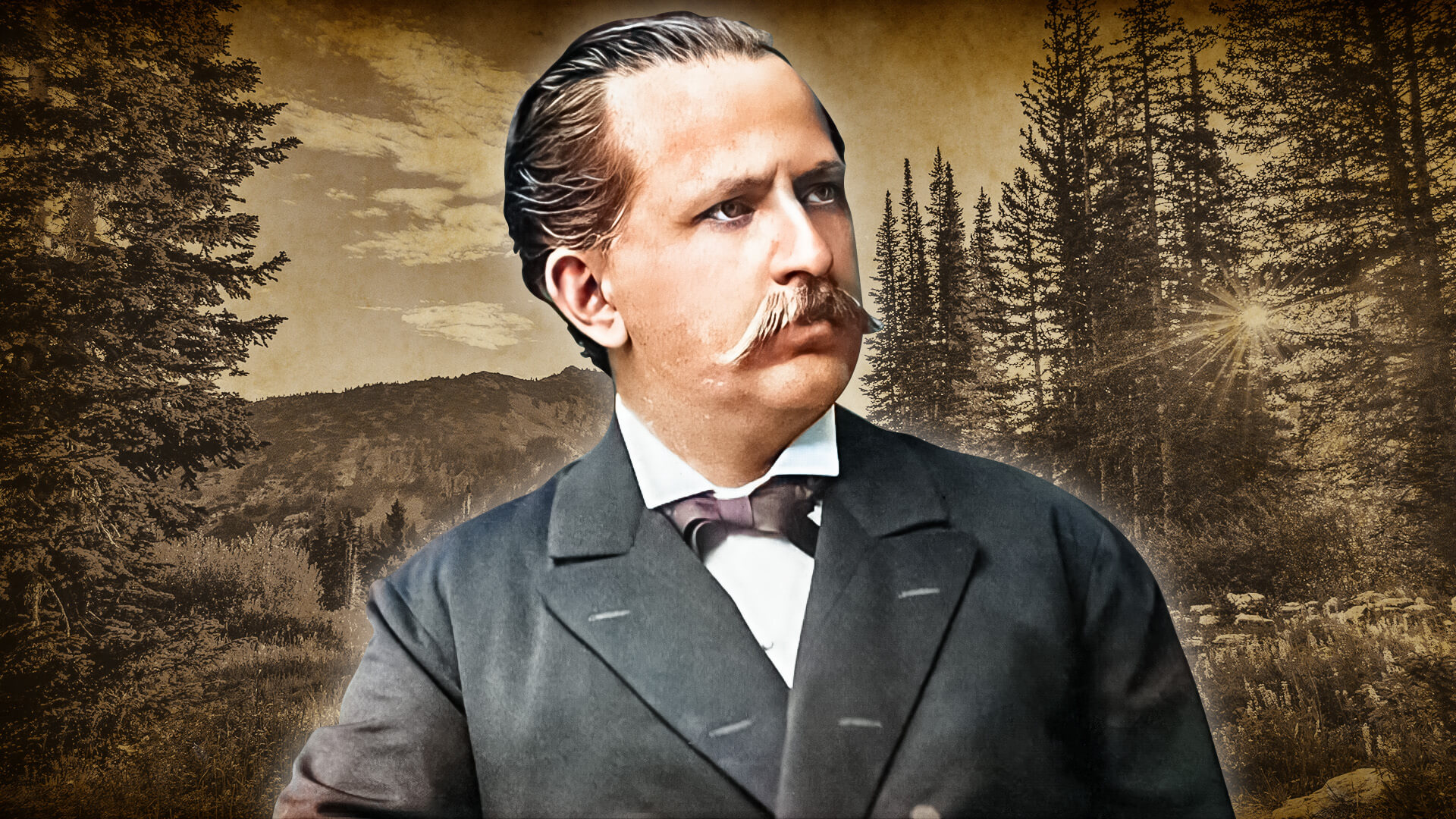 Die Rettung des Wienerwaldes