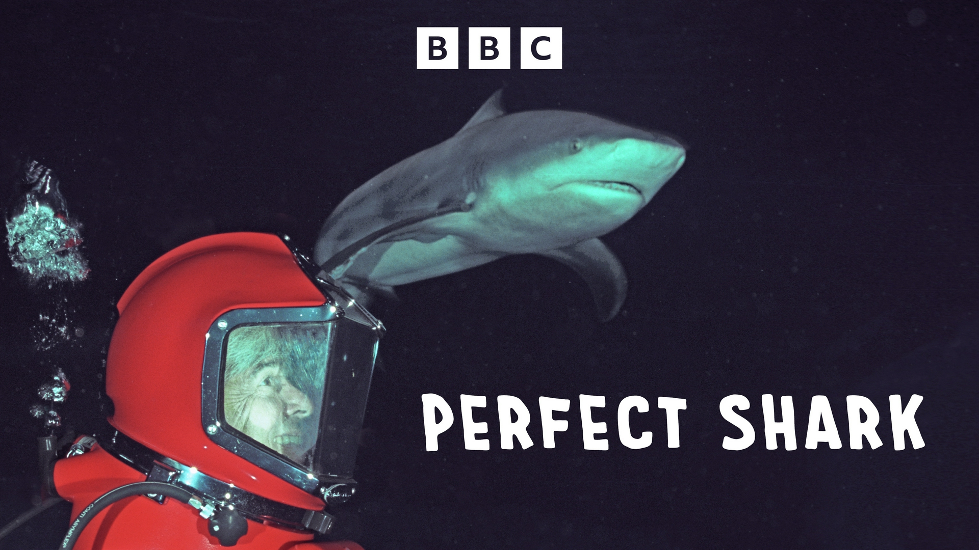 Der perfekte Hai Der perfekte Hai