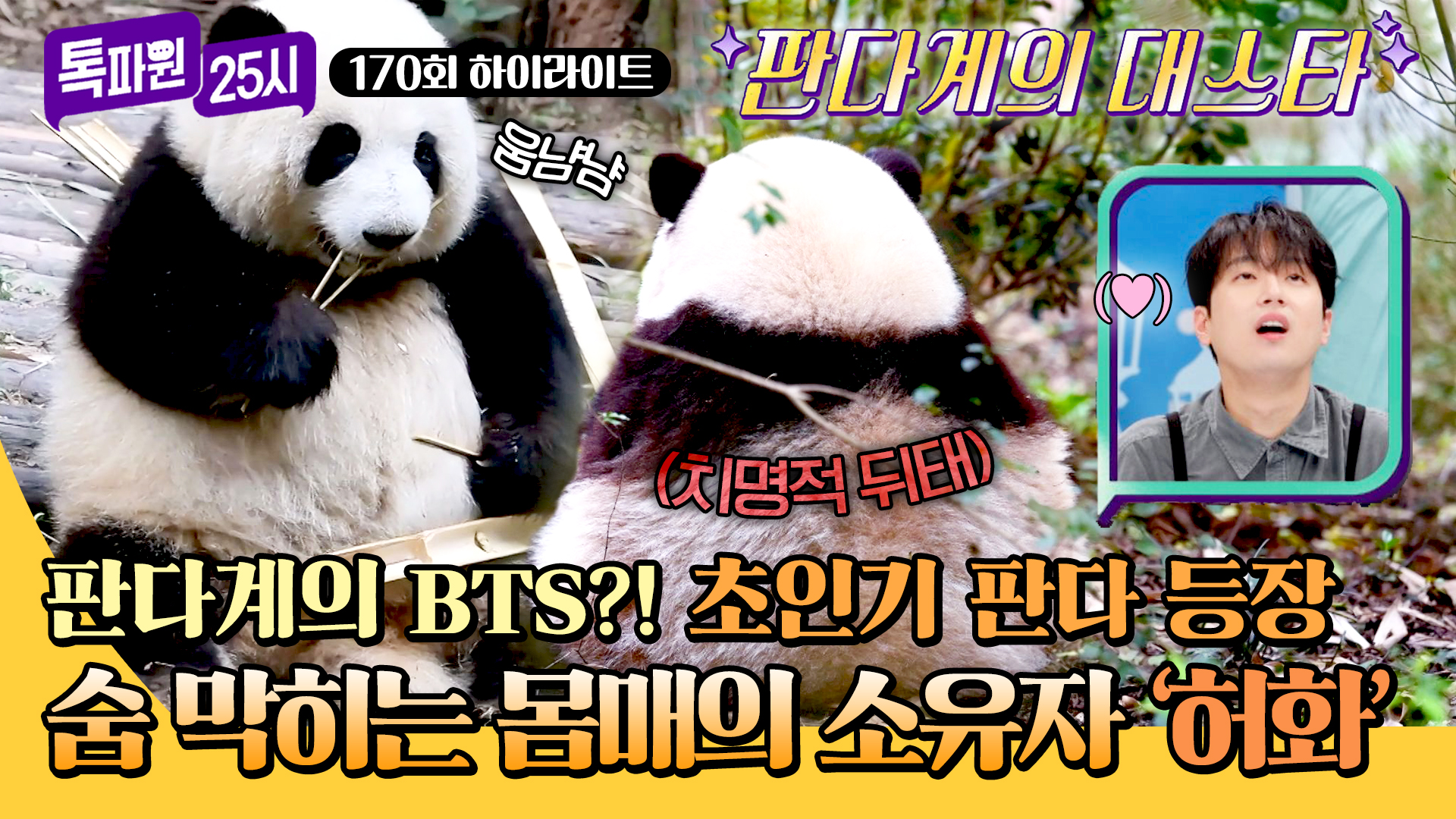 연예인급 인기! 꼭 봐야 하는 ♥스타 동물♥