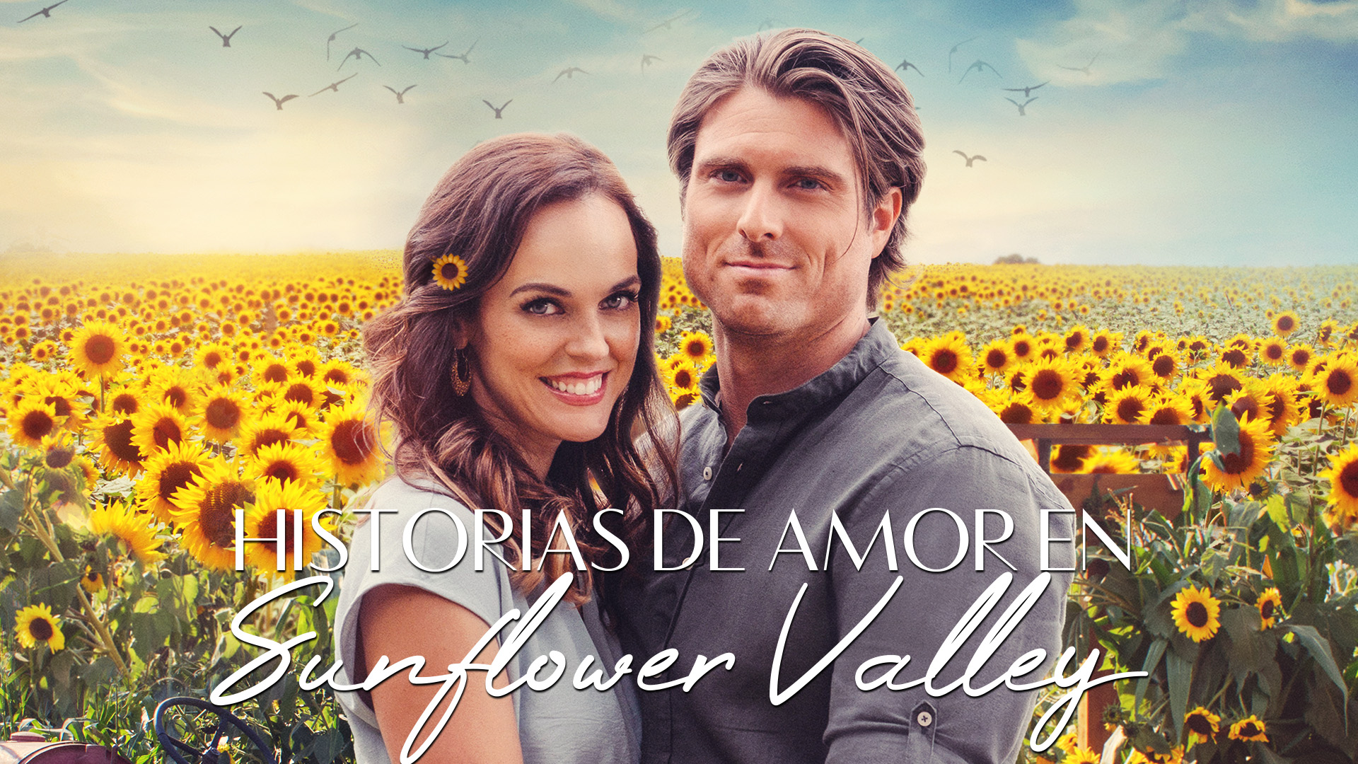 Historias De Amor En Sunflower Valley