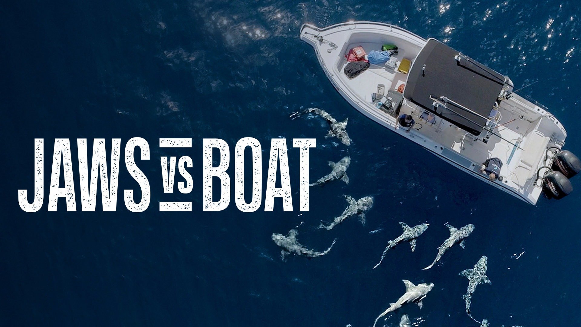Jaws vs. Boats