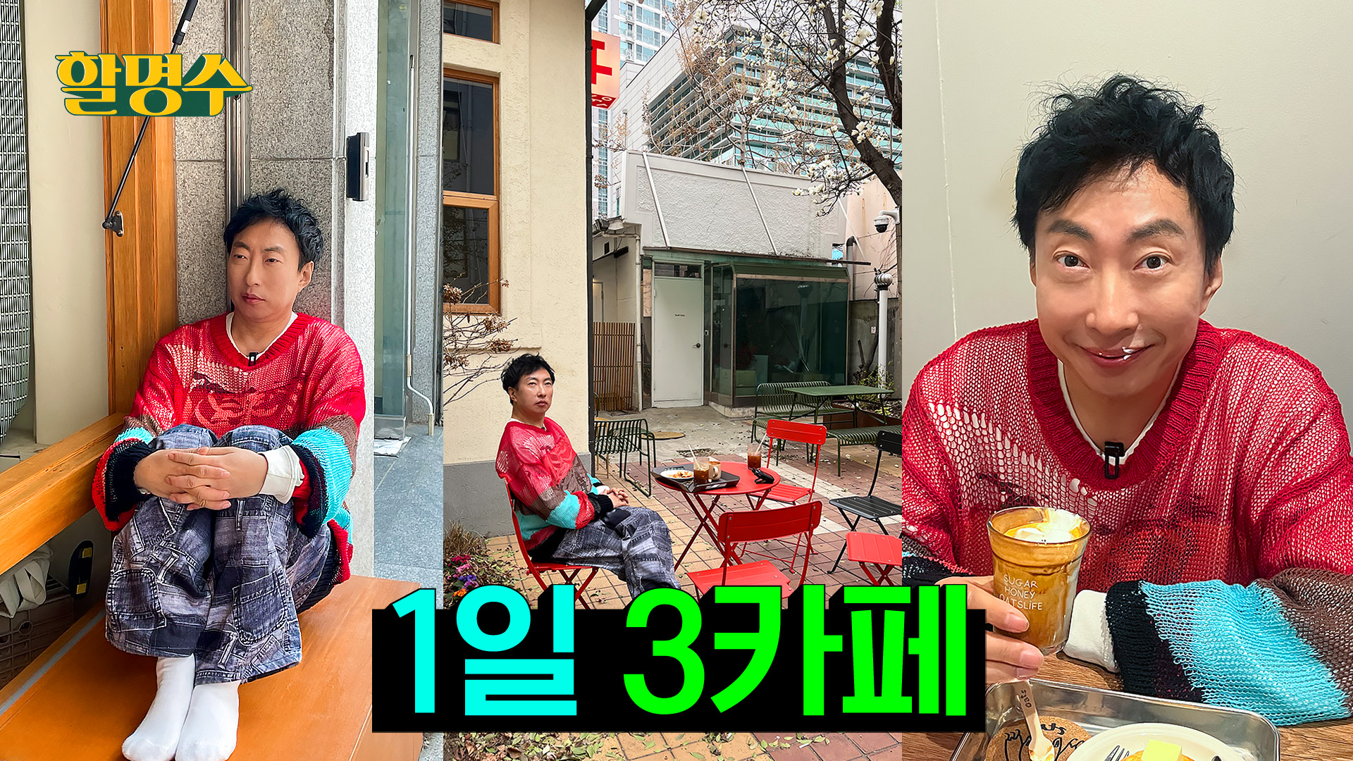 문익점 선생님이 왜 모카씨를 숨겨왔는지 알 것 같다. 문익점 선생님 땡큐~♡ |