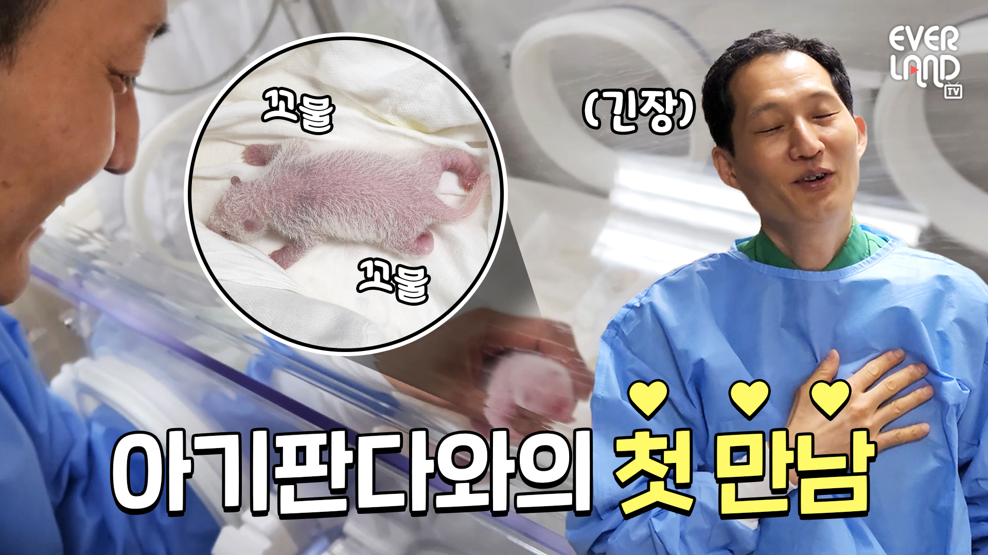 [단독] 쌍둥이 아기판다❤송바오 소중한 첫 만남 현장 119회