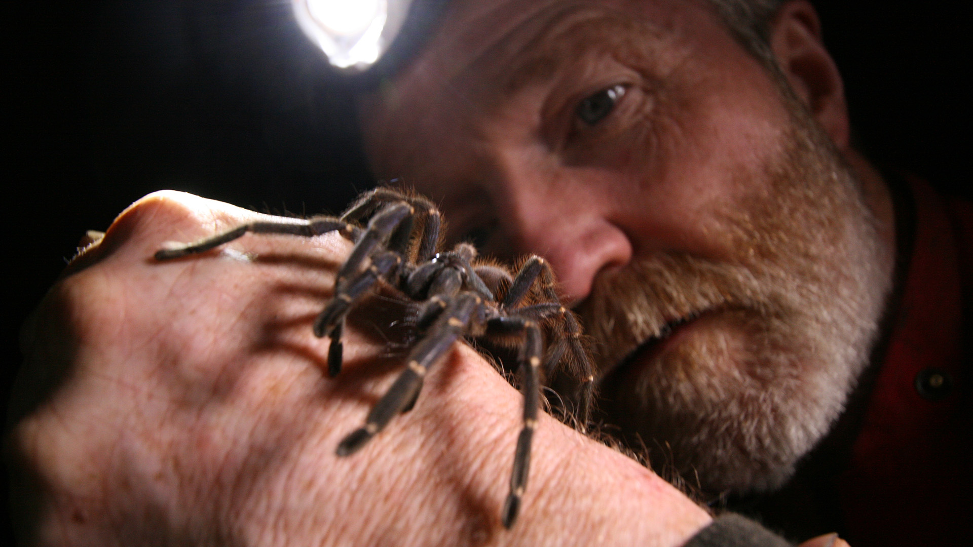 Geheimnisse der Nacht