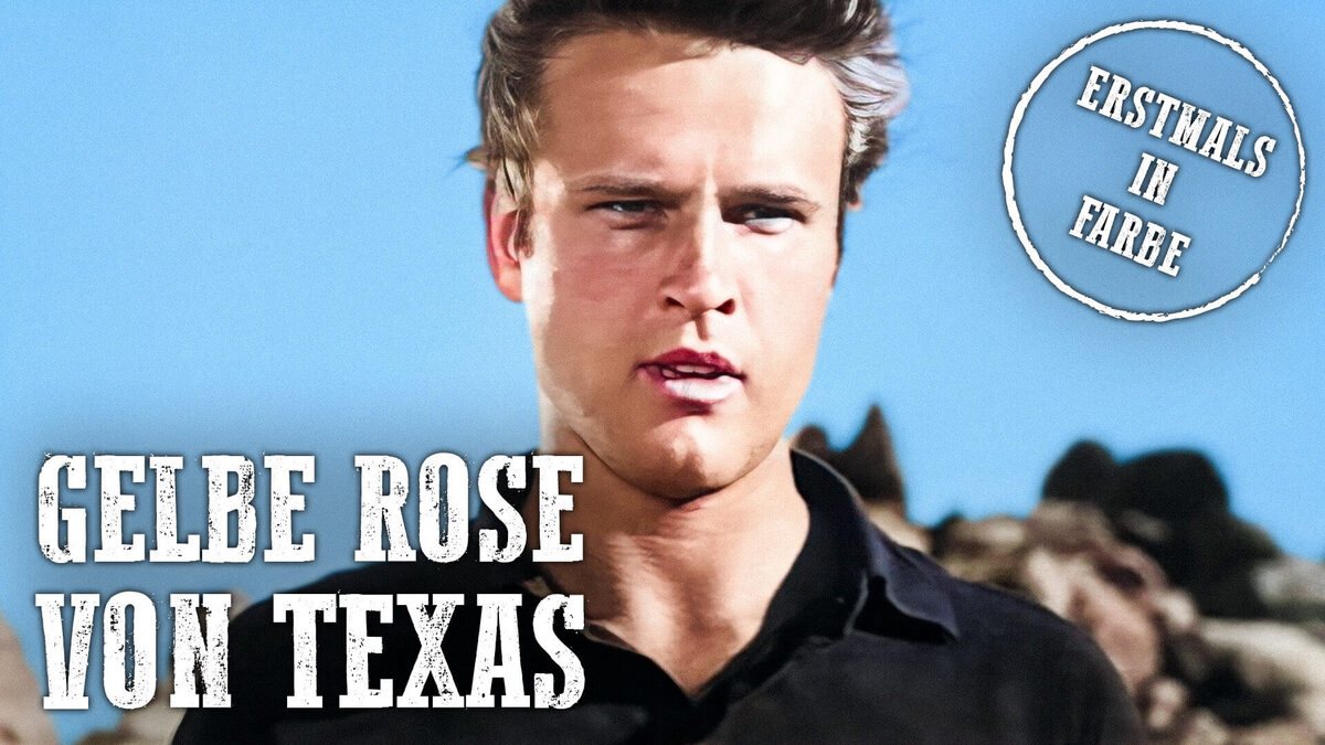 Gelbe Rose von Texas