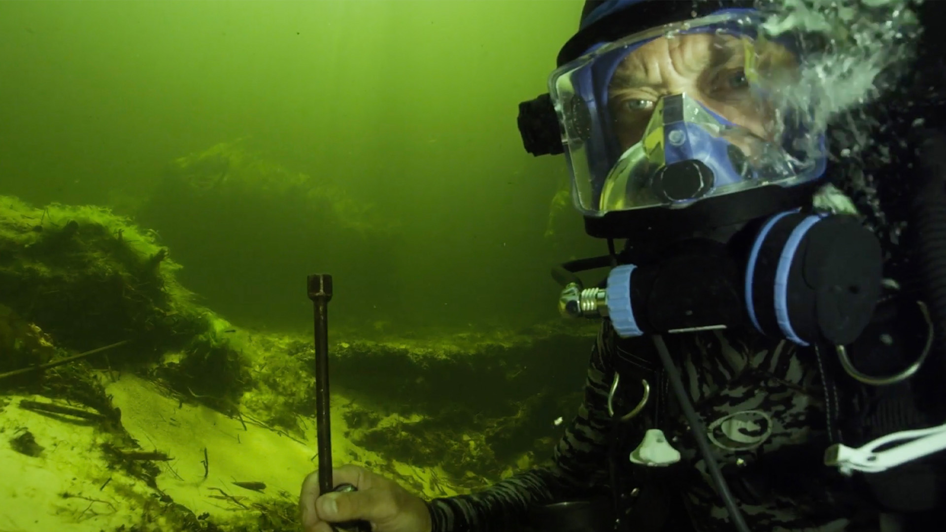 Die Rückkehr zum afrikanischen Tigersalmler
