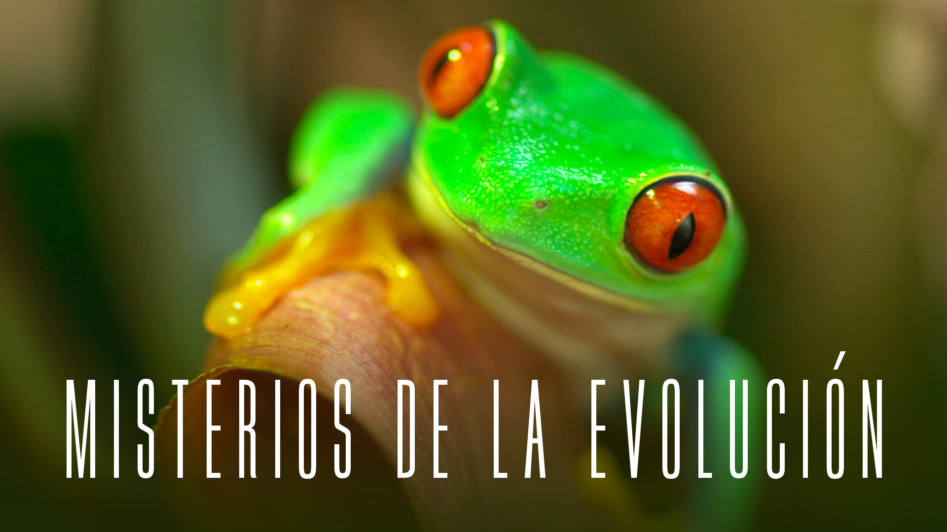 Misterios de la Evolución