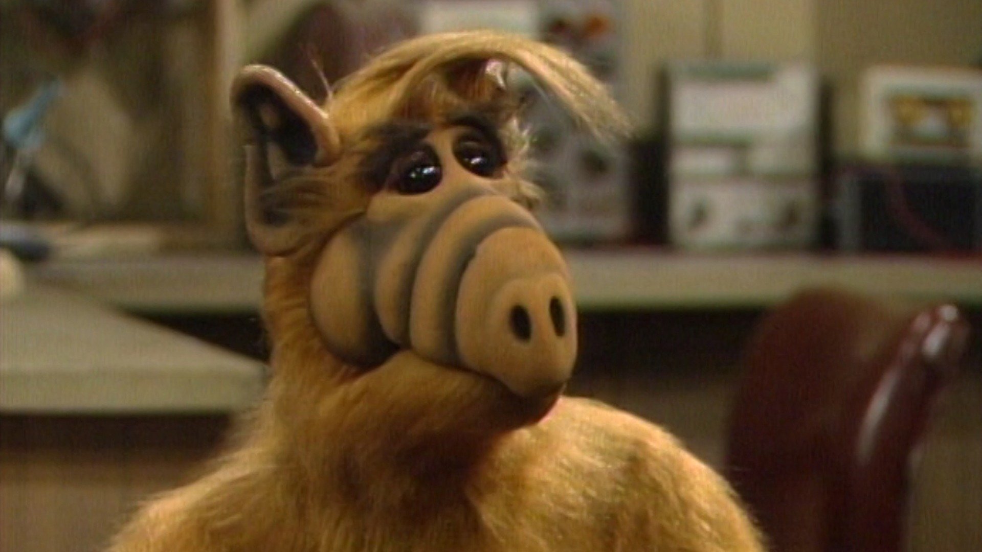 ALF