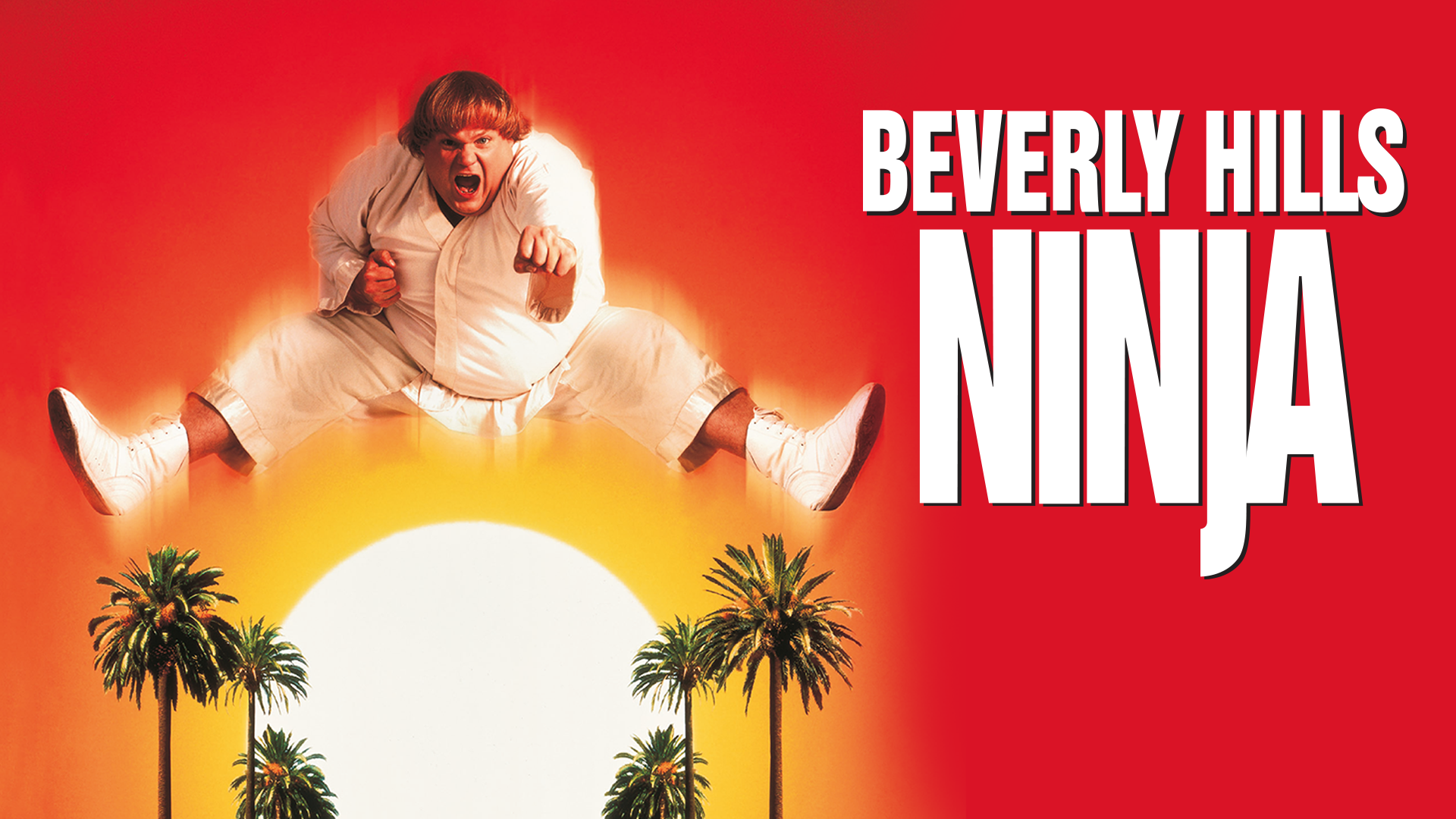Beverly Hills Ninja