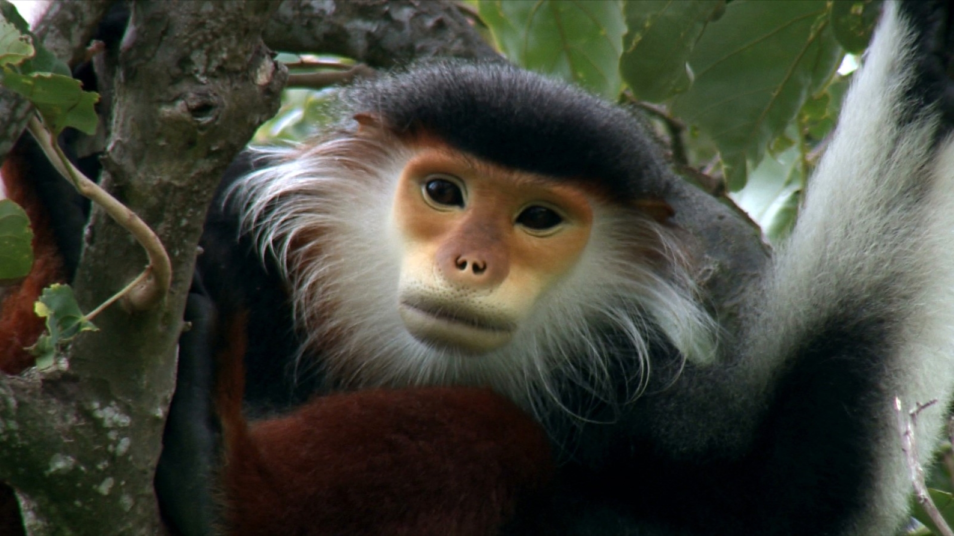 Asia: Vite Segrete, Luoghi Nascosti