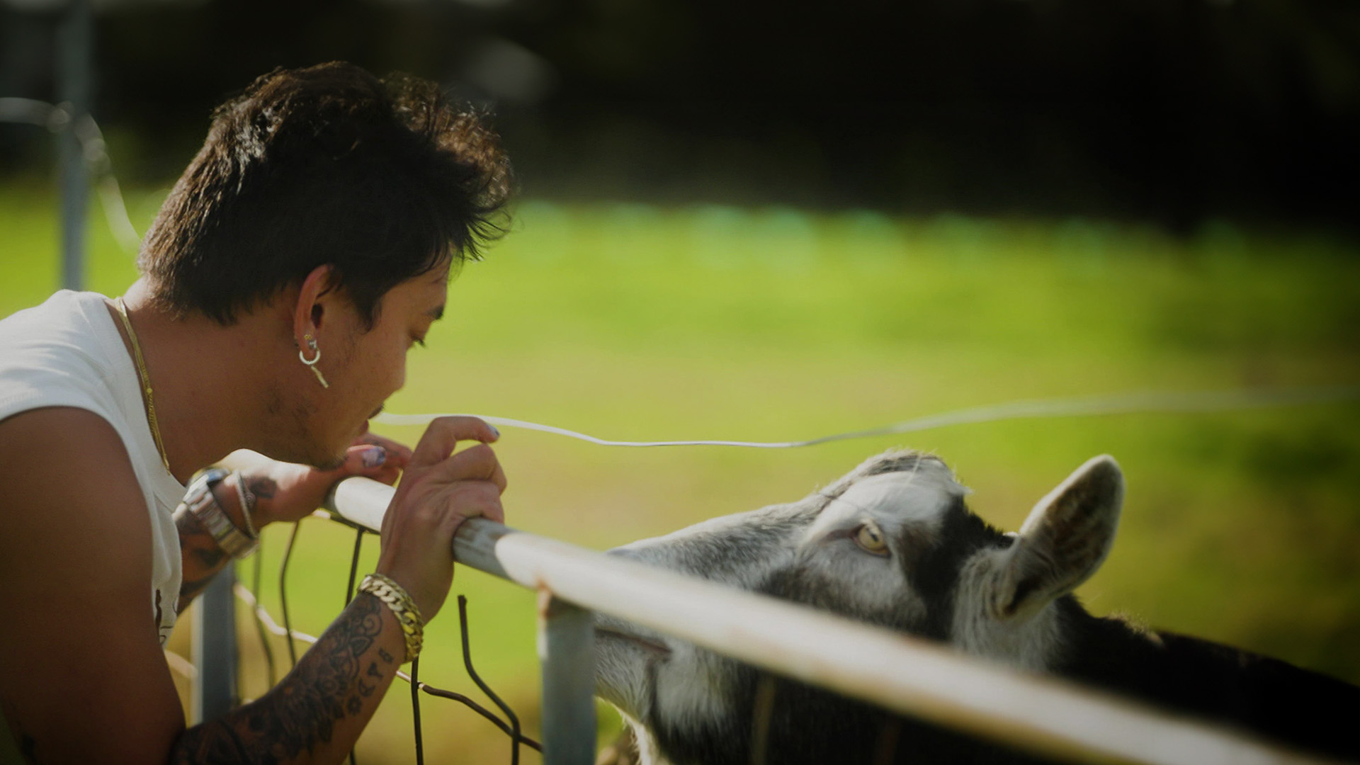 Khanh Ong's Wild Food: Mornington Peninsula