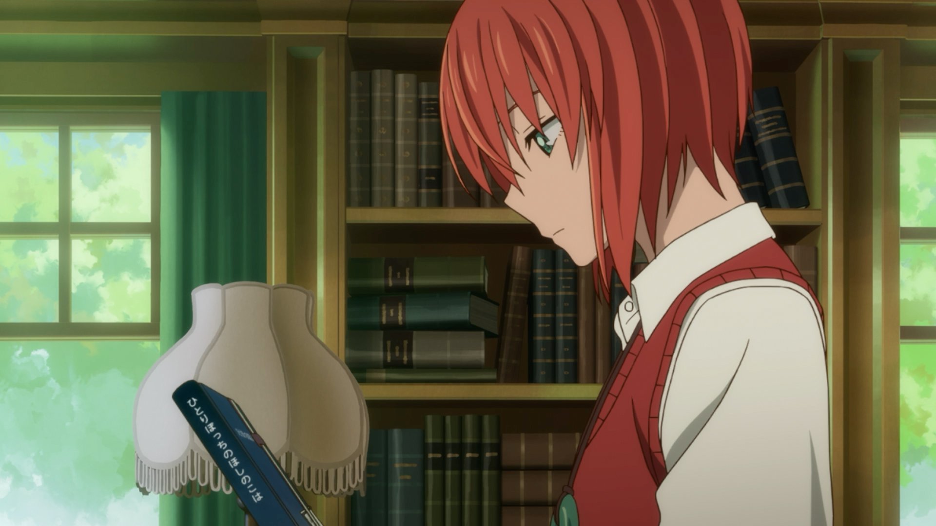 The ancient magus' bride