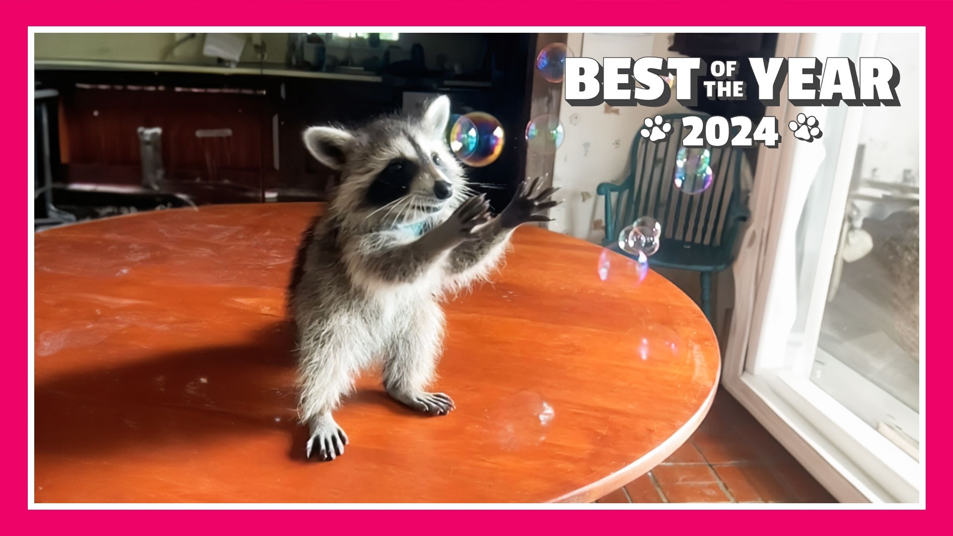 TPC Best of the Year 2024