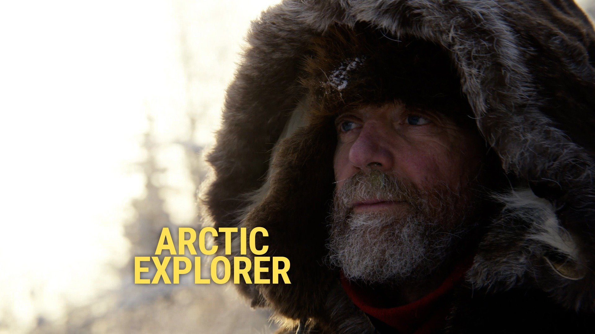 Arctic Explorer