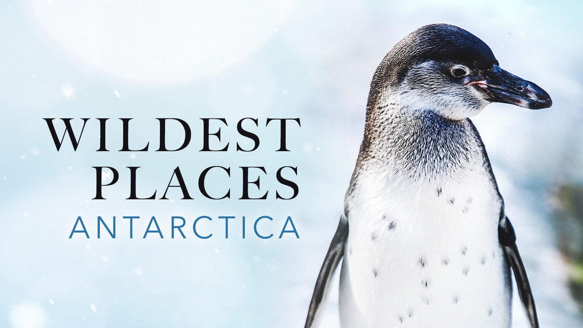 Wildest Places: Antarctic