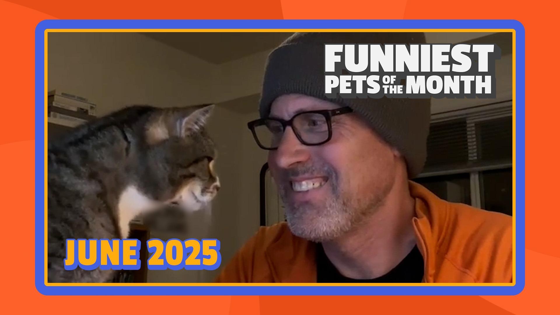 Funniest Pets of the Month | Ep. 2.7