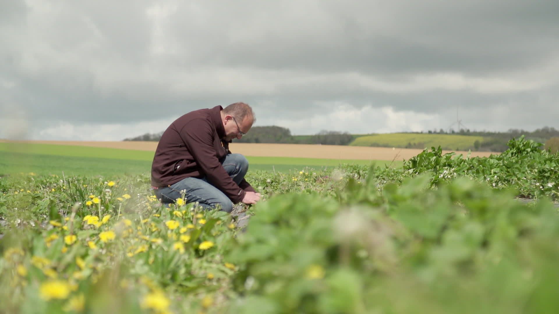 Itinéraires Paysans