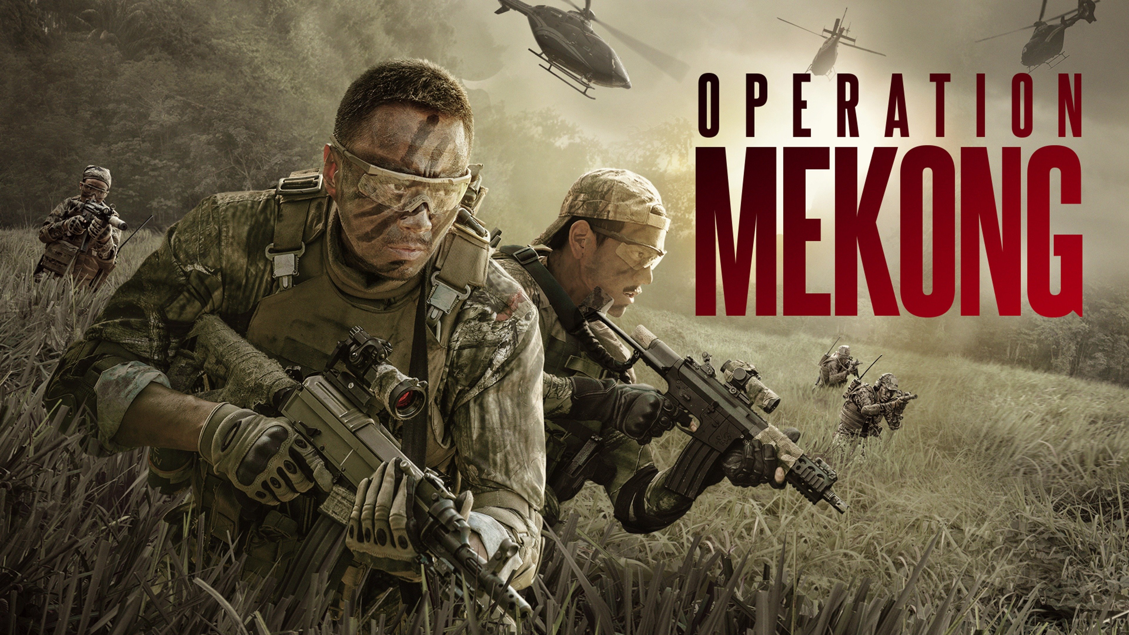Operation Mekong