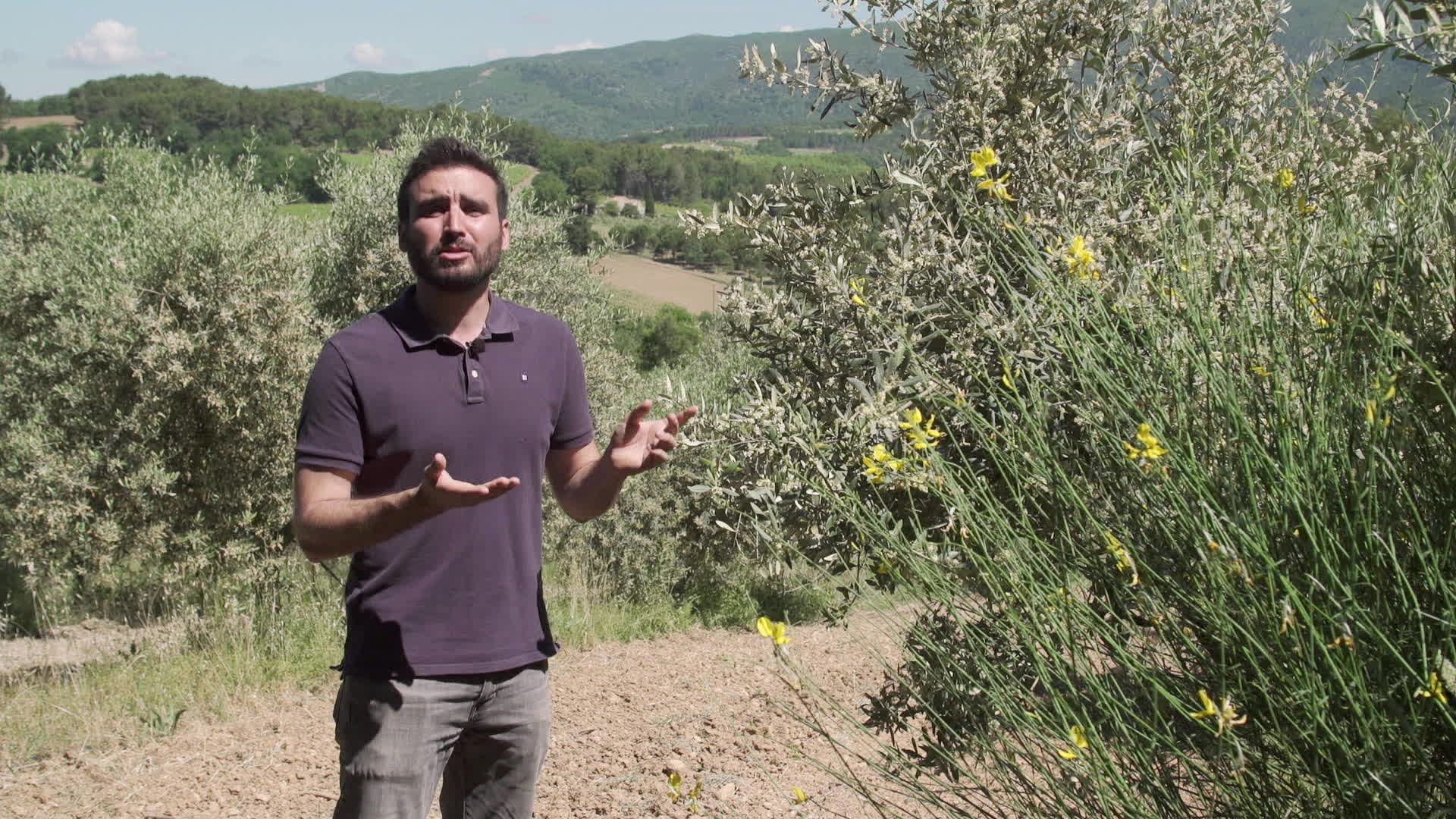 Itinéraires Paysans