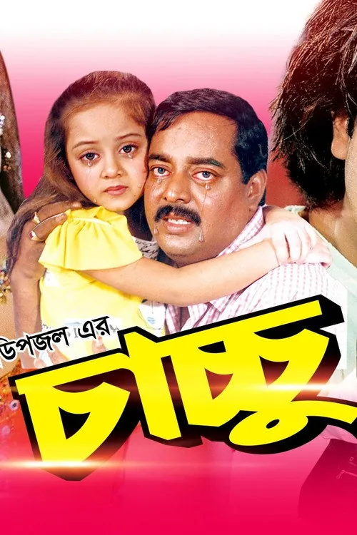 চাচ্চু
