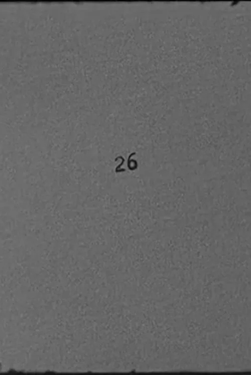 26
